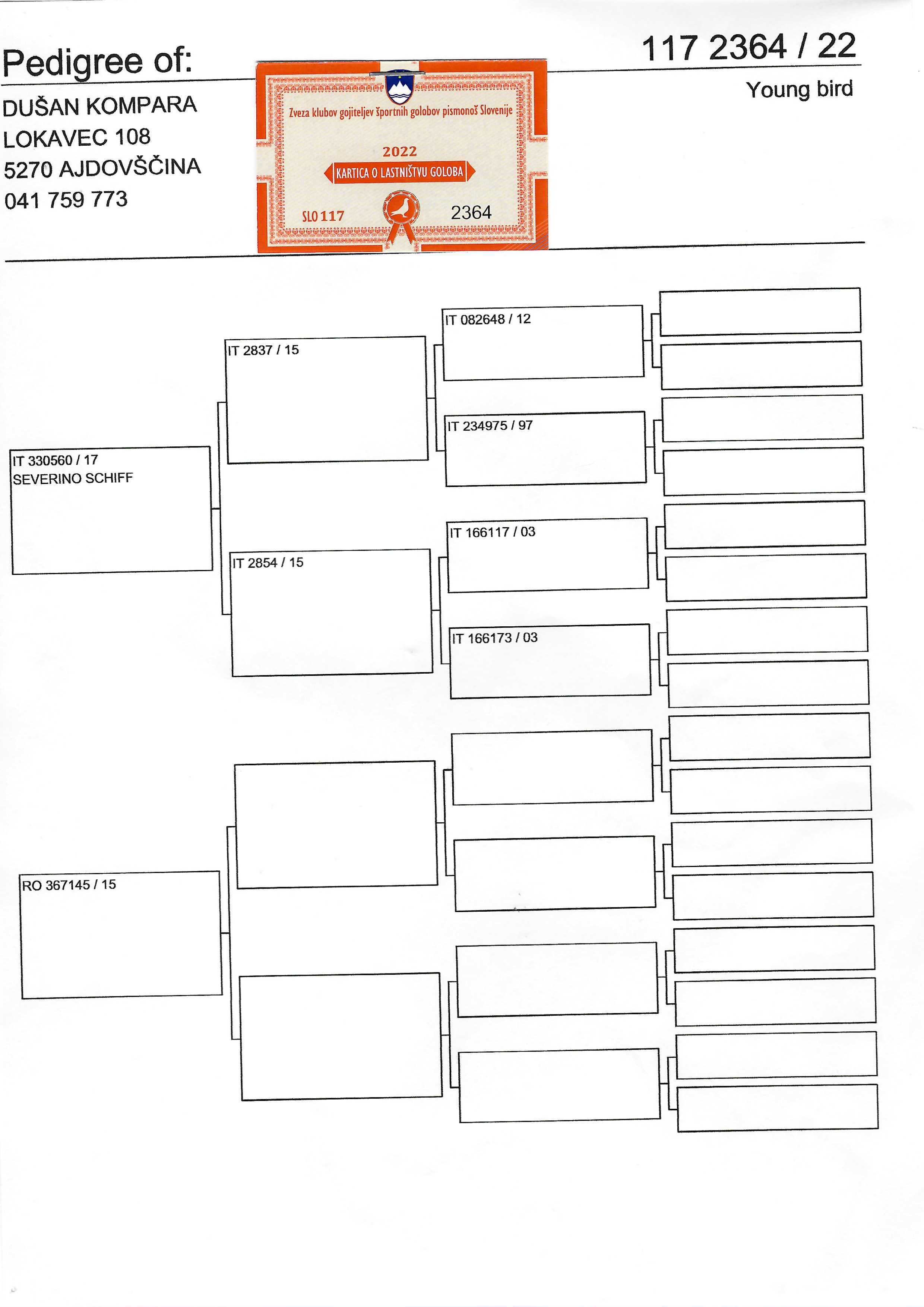 Pigeon pedigree image