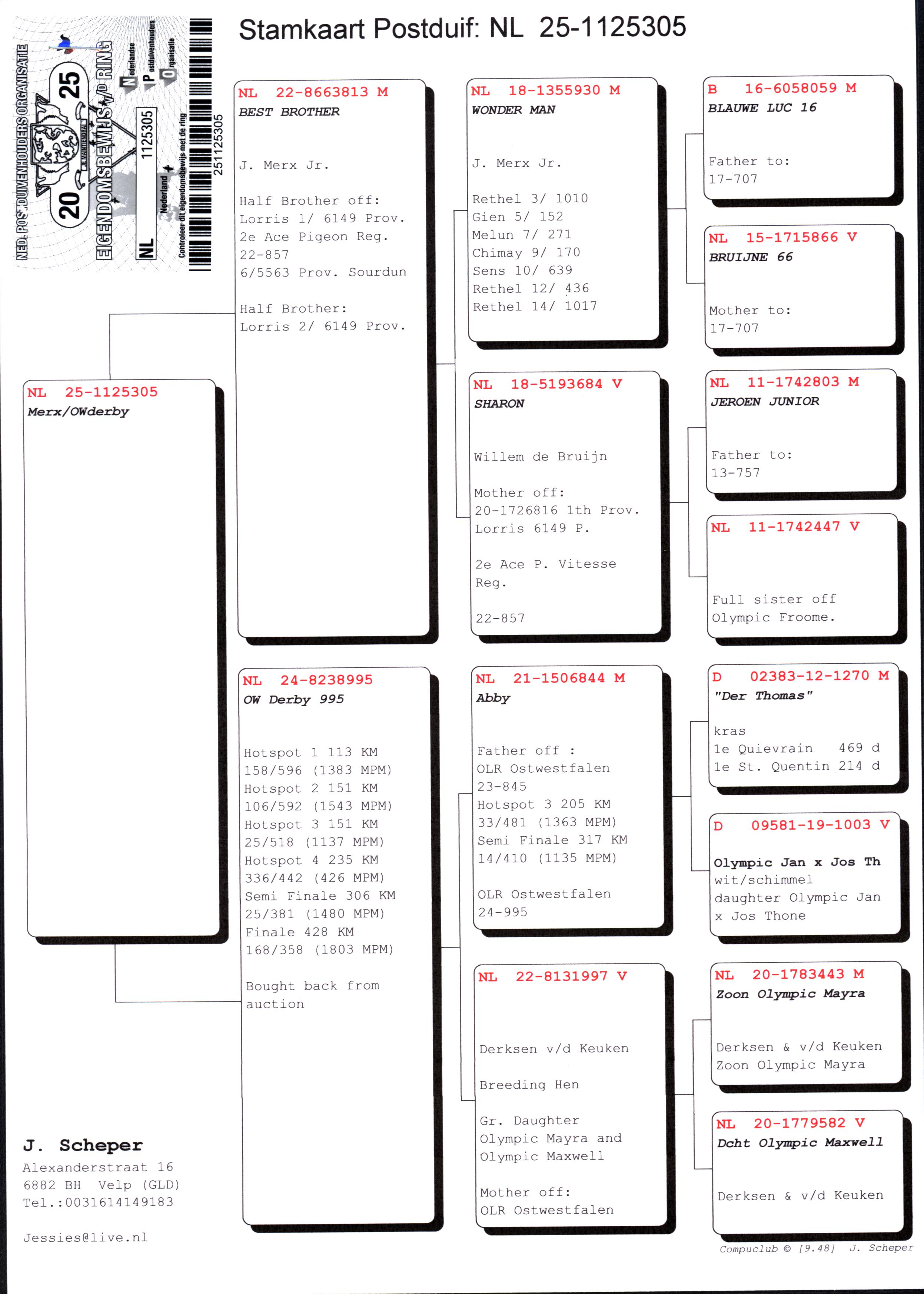 Pigeon pedigree image