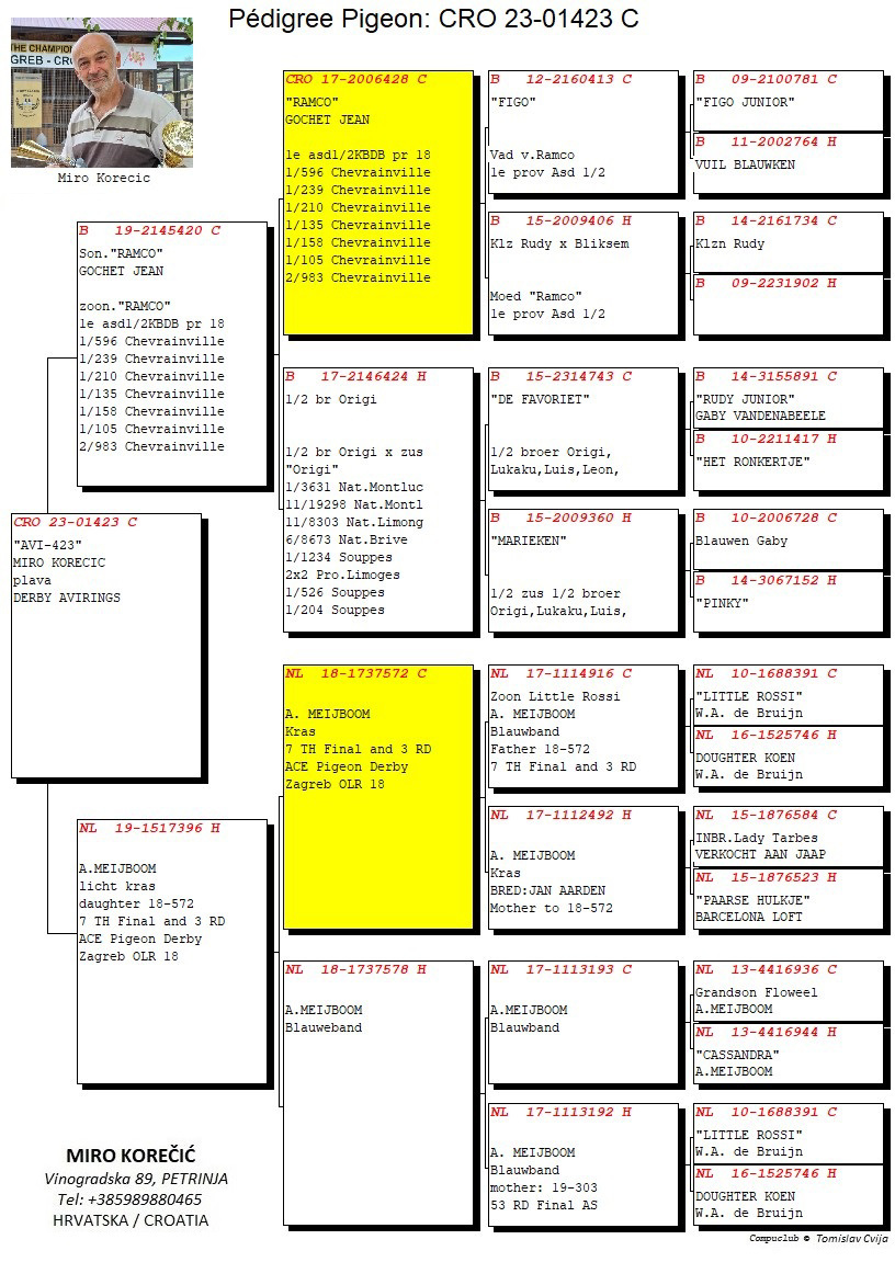 Pigeon pedigree image