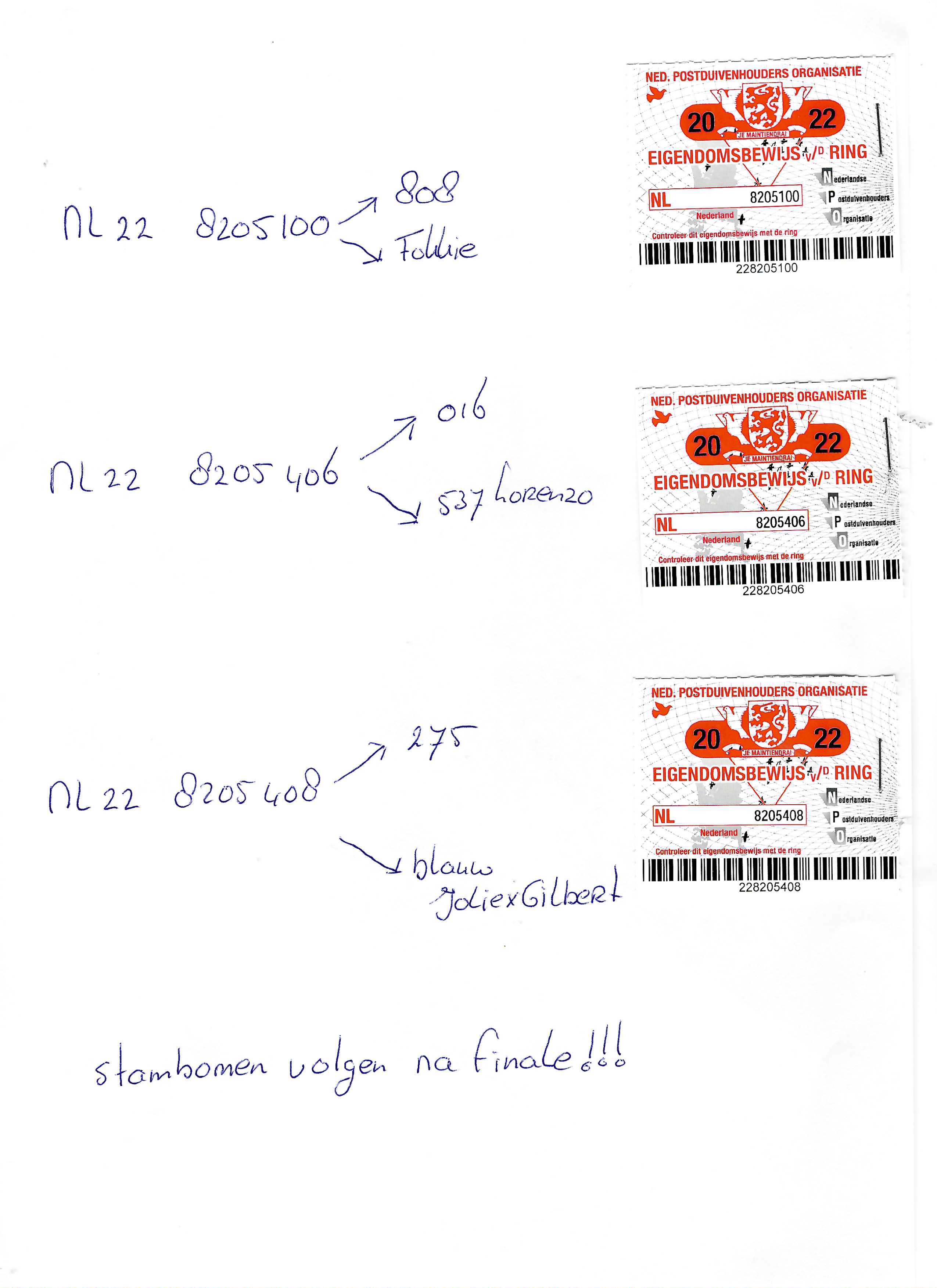 Pigeon pedigree image