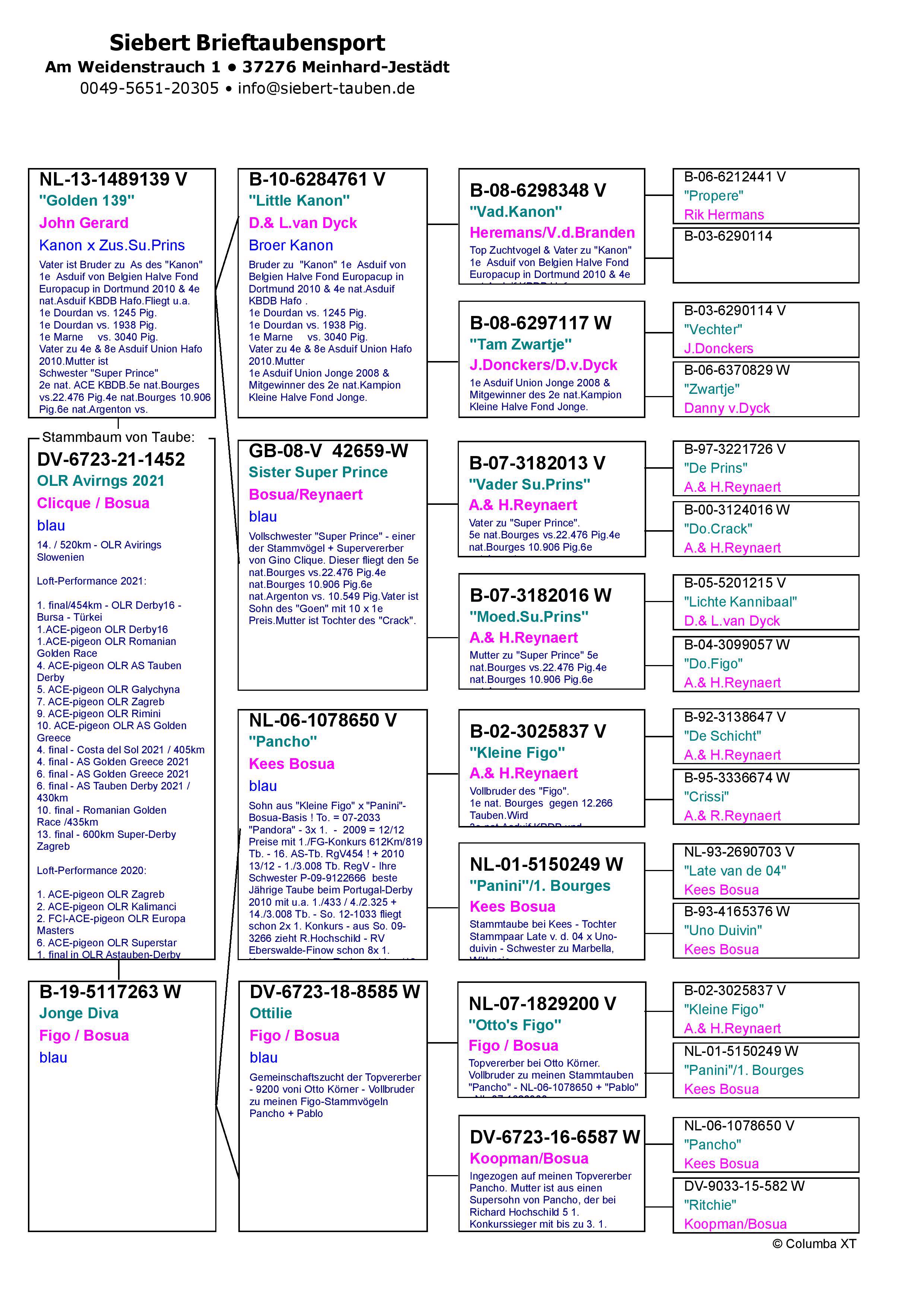 Pigeon pedigree image