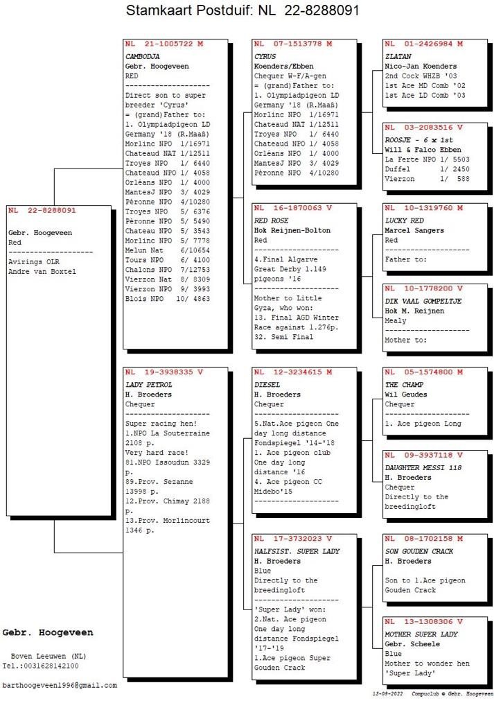 Pigeon pedigree image