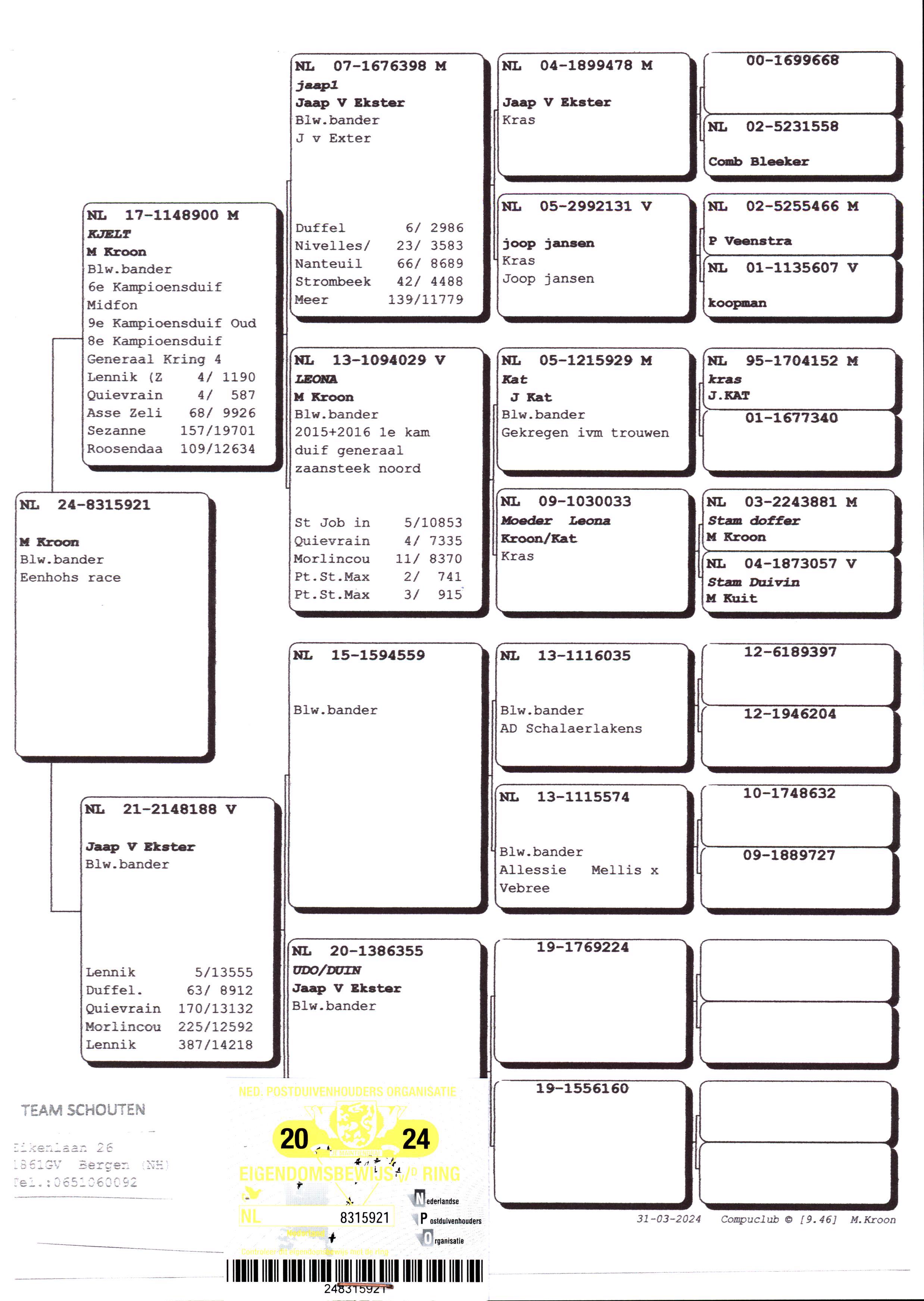 Pigeon pedigree image
