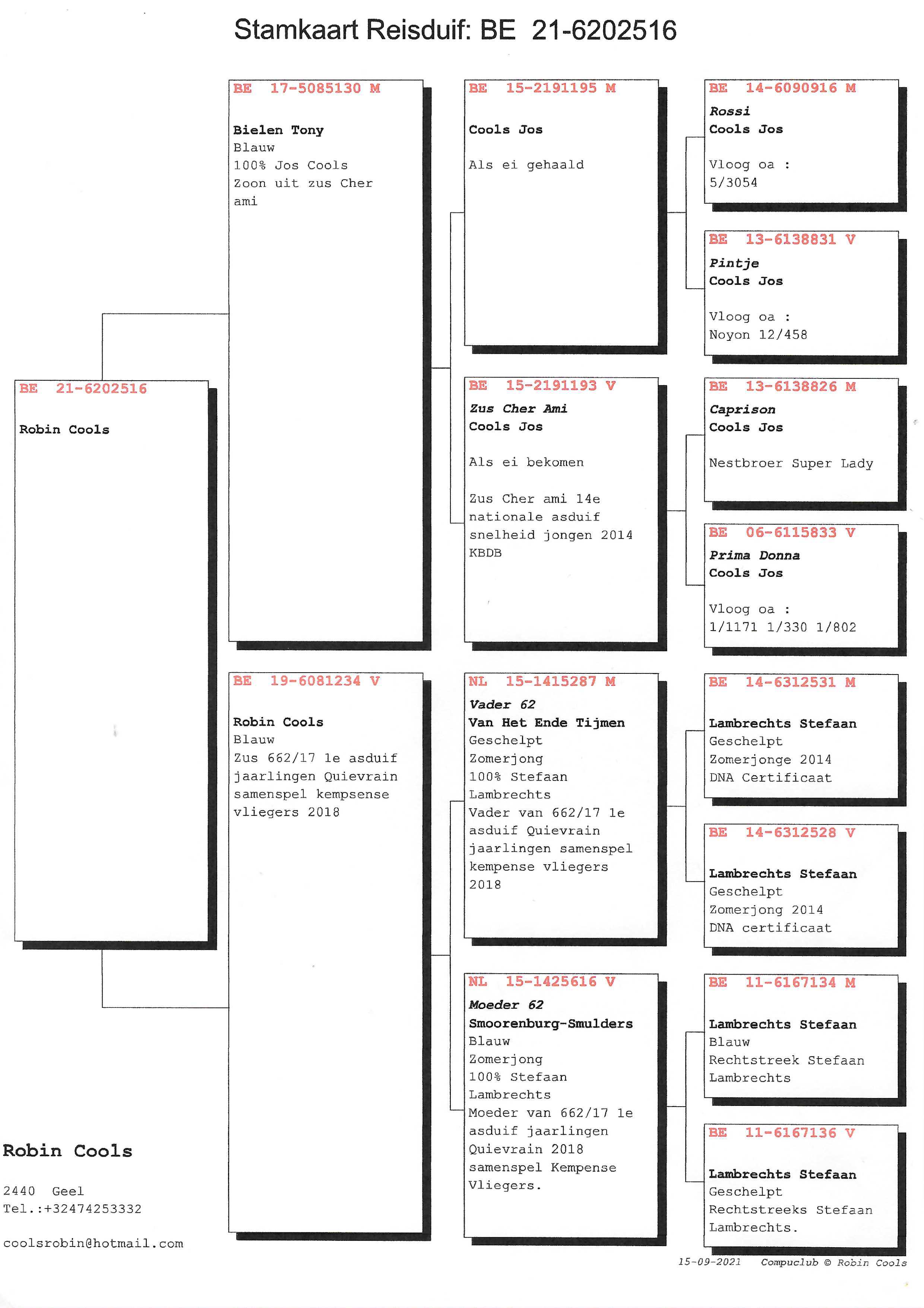 Pigeon pedigree image