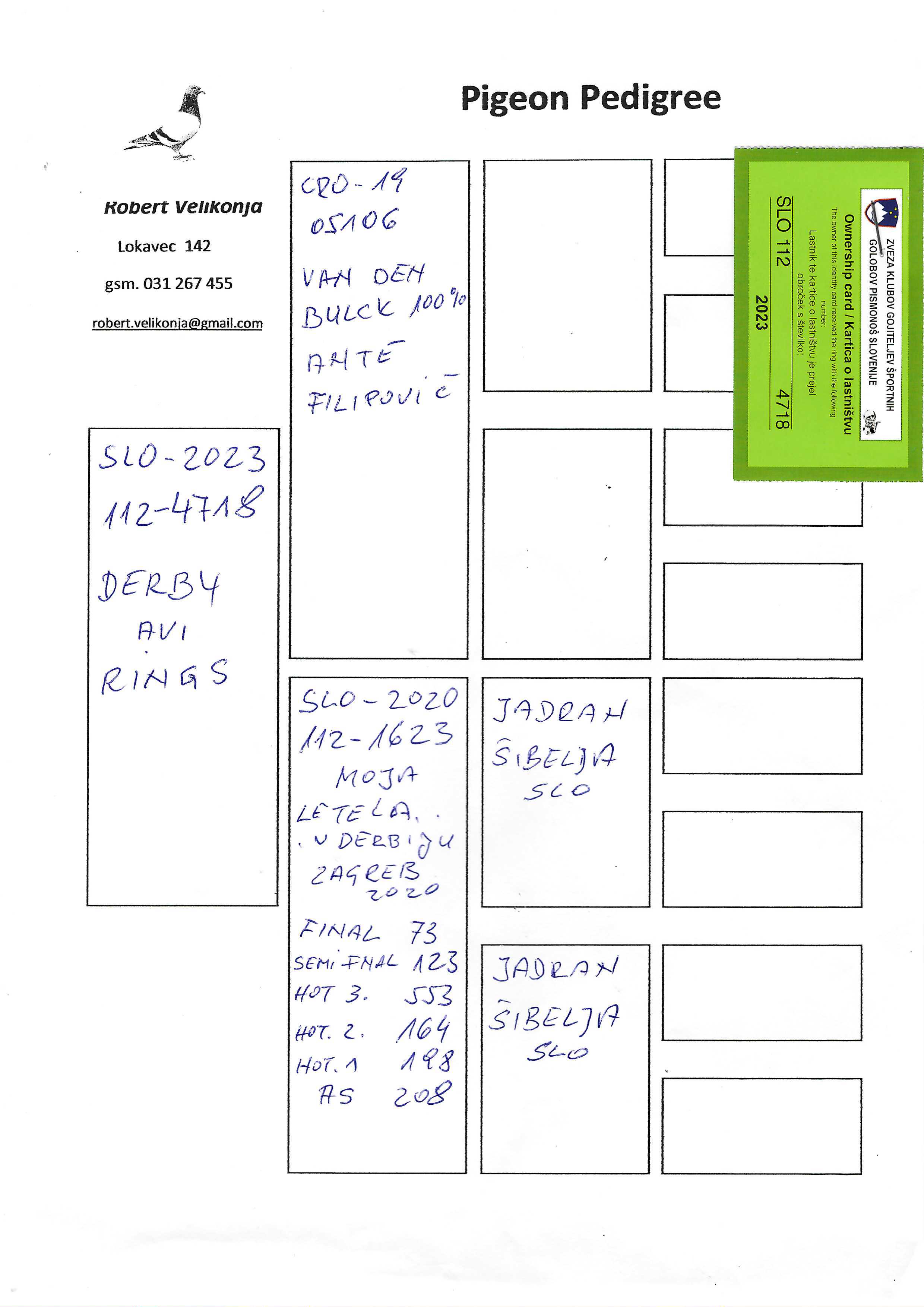 Pigeon pedigree image