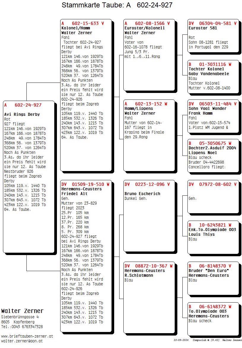 Pigeon pedigree image