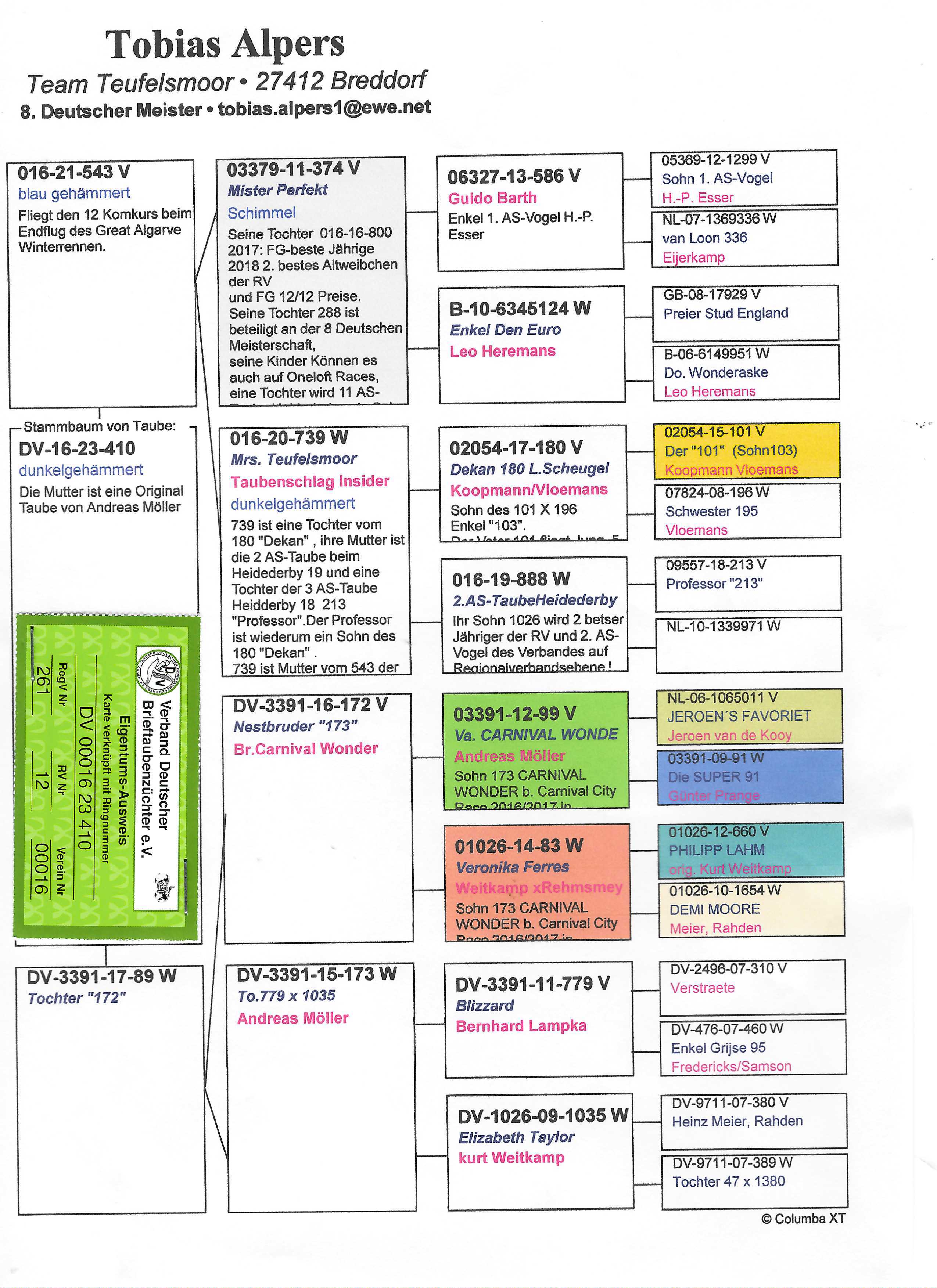 Pigeon pedigree image
