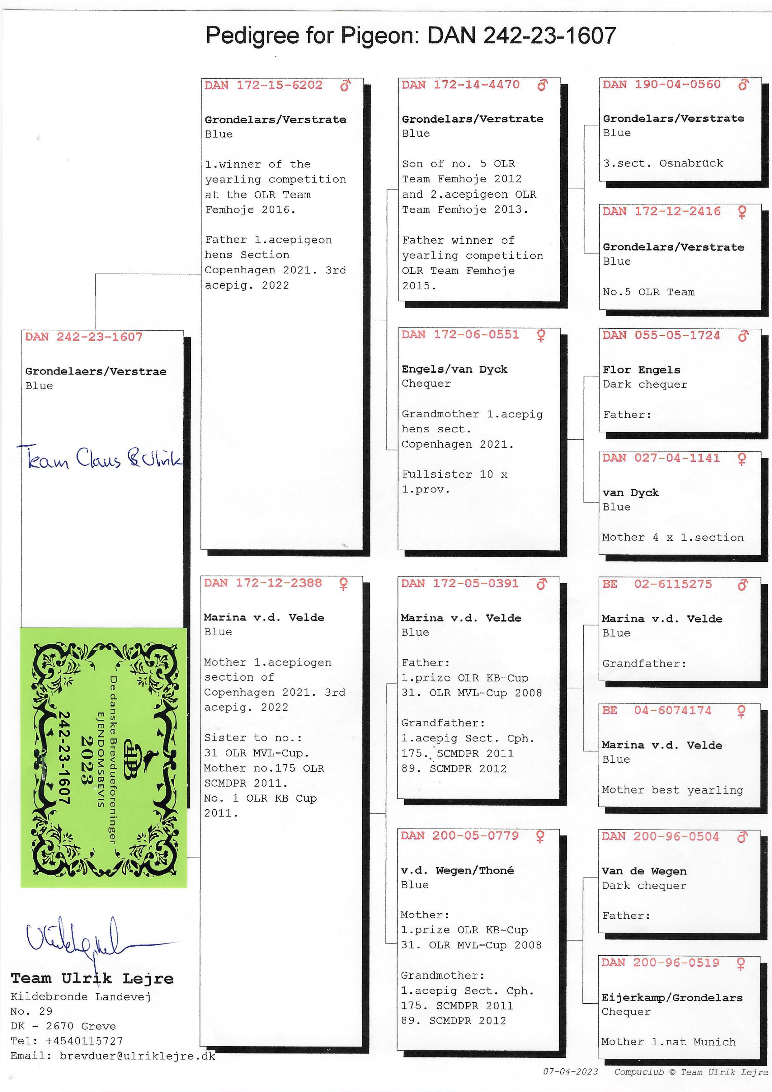 Pigeon pedigree image