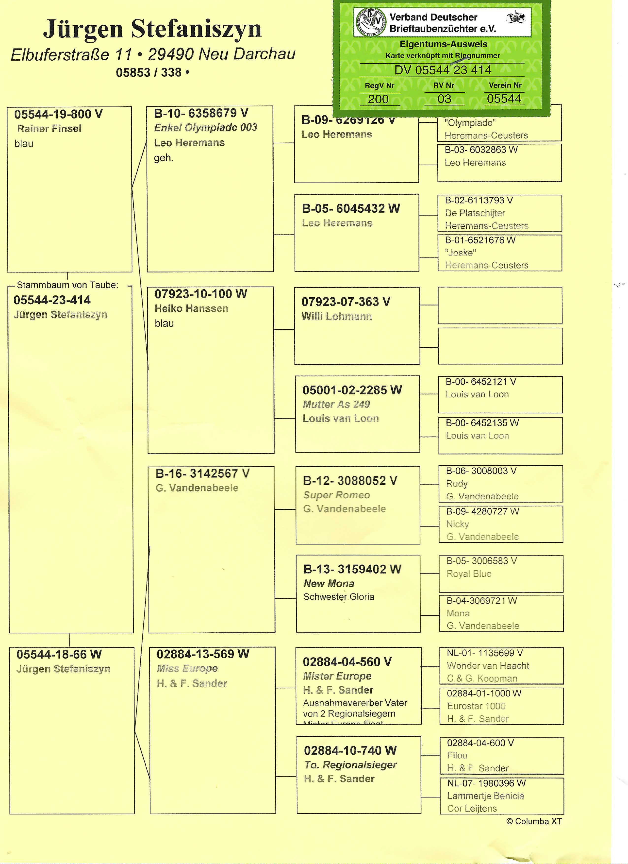 Pigeon pedigree image