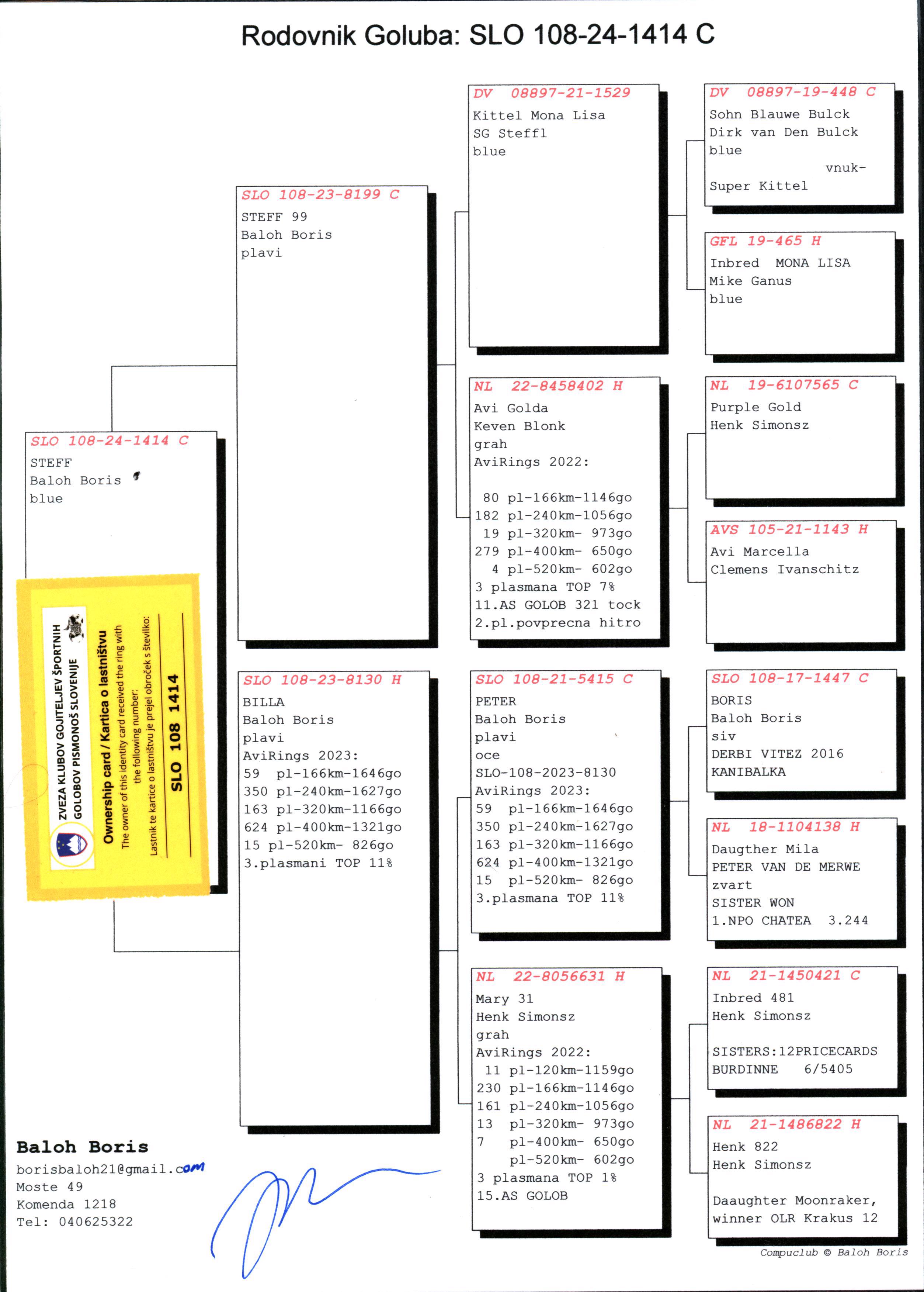 Pigeon pedigree image