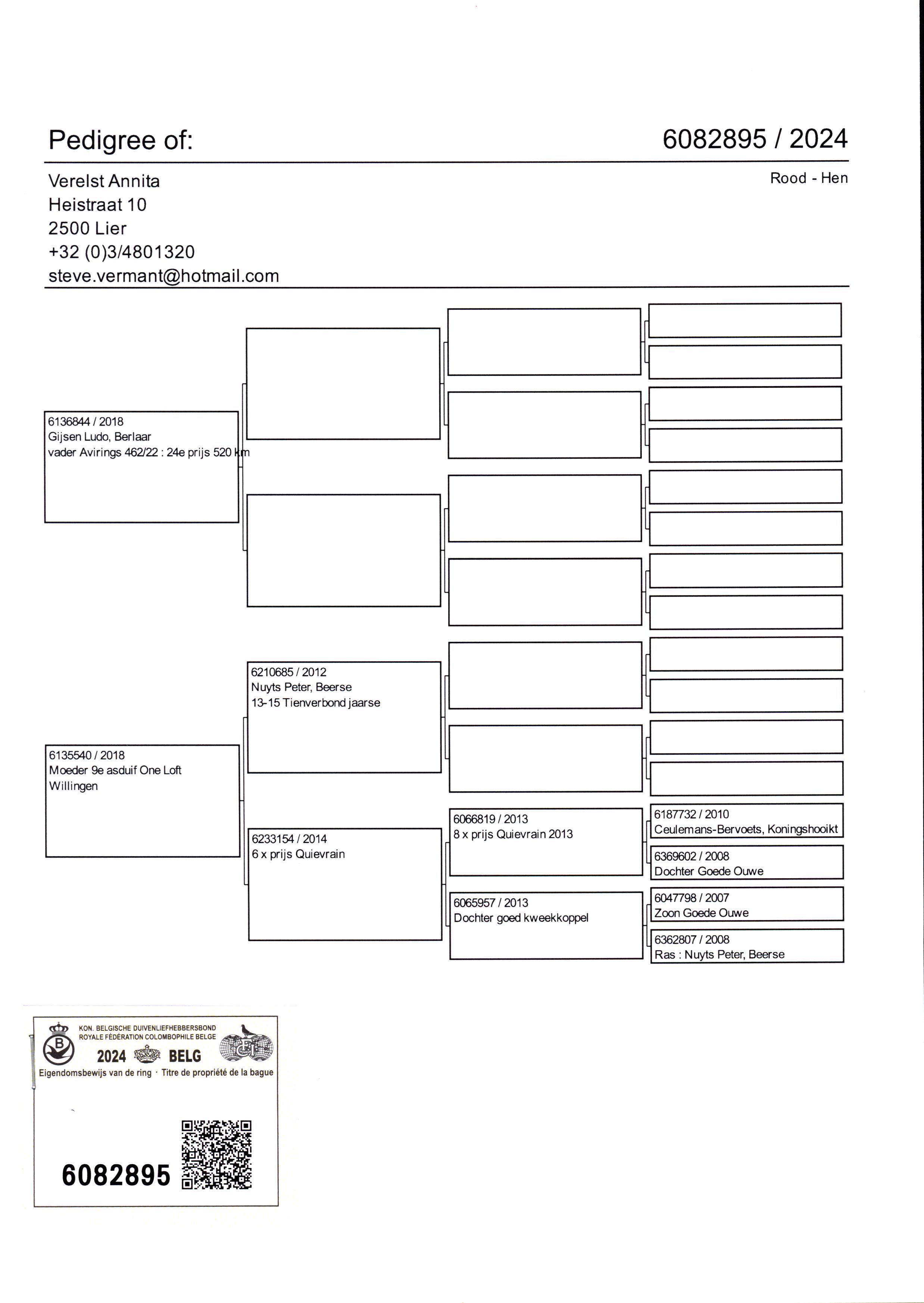 Pigeon pedigree image