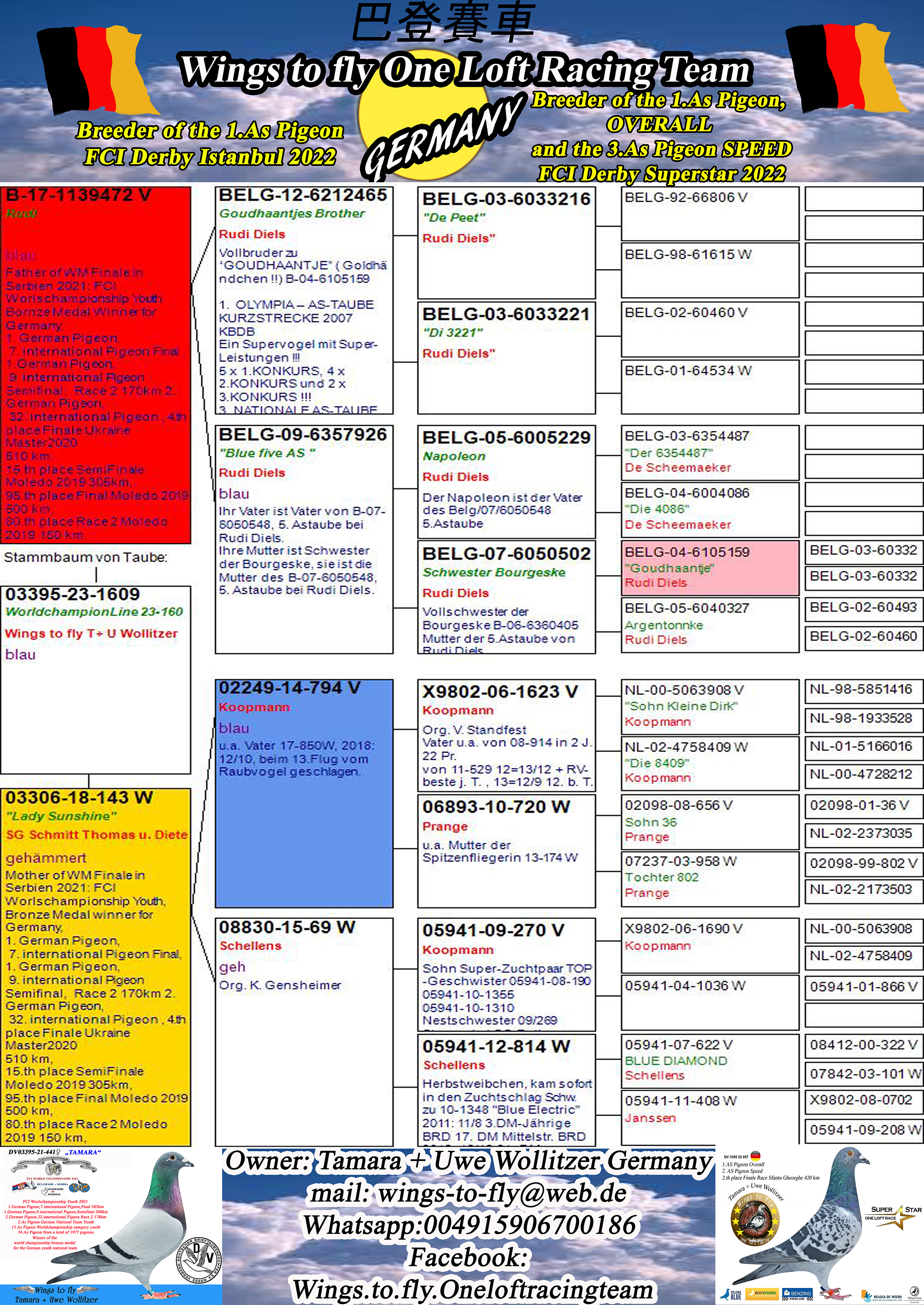 Pigeon pedigree image