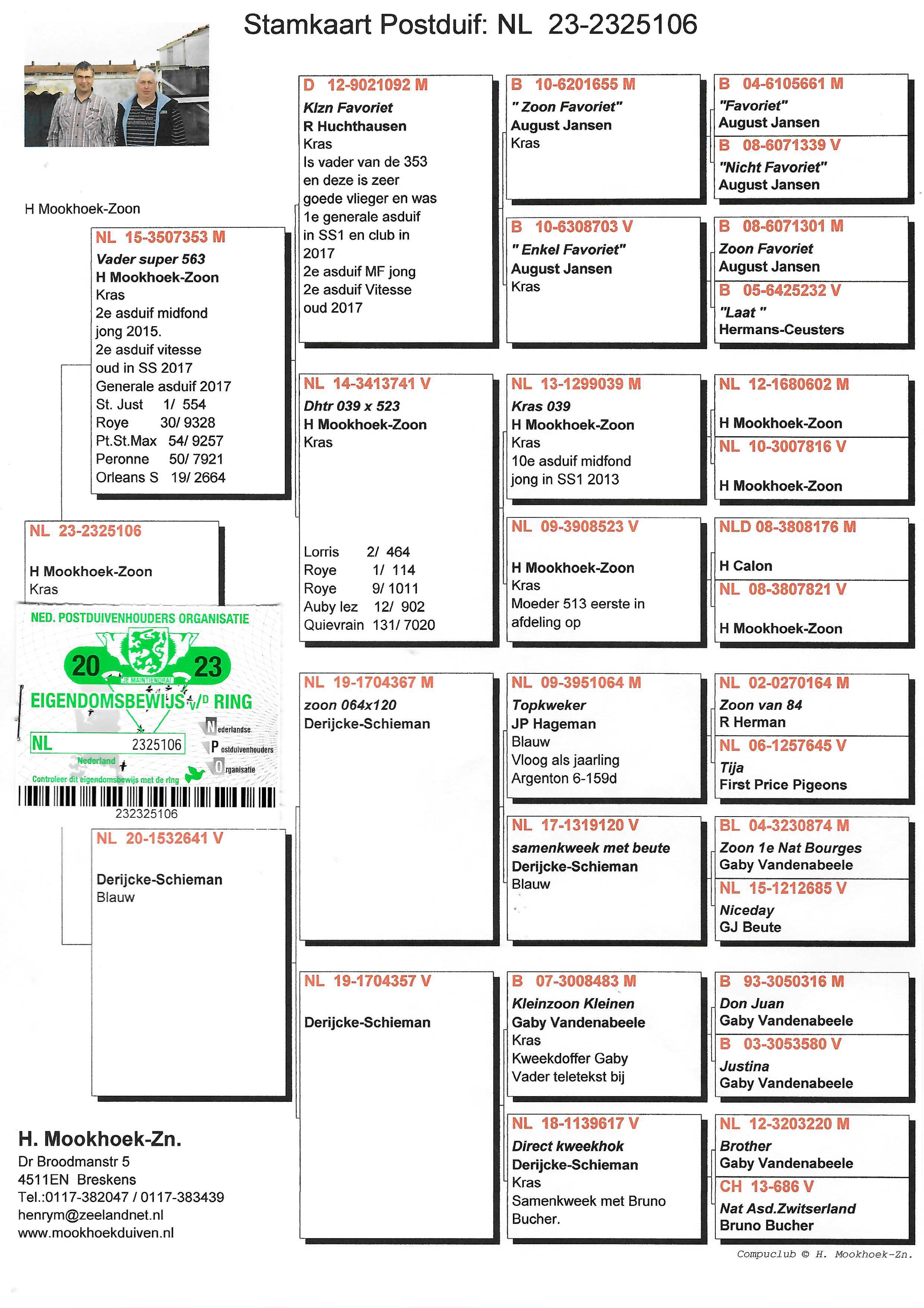 Pigeon pedigree image