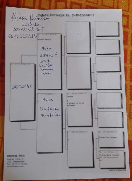 Pigeon pedigree image