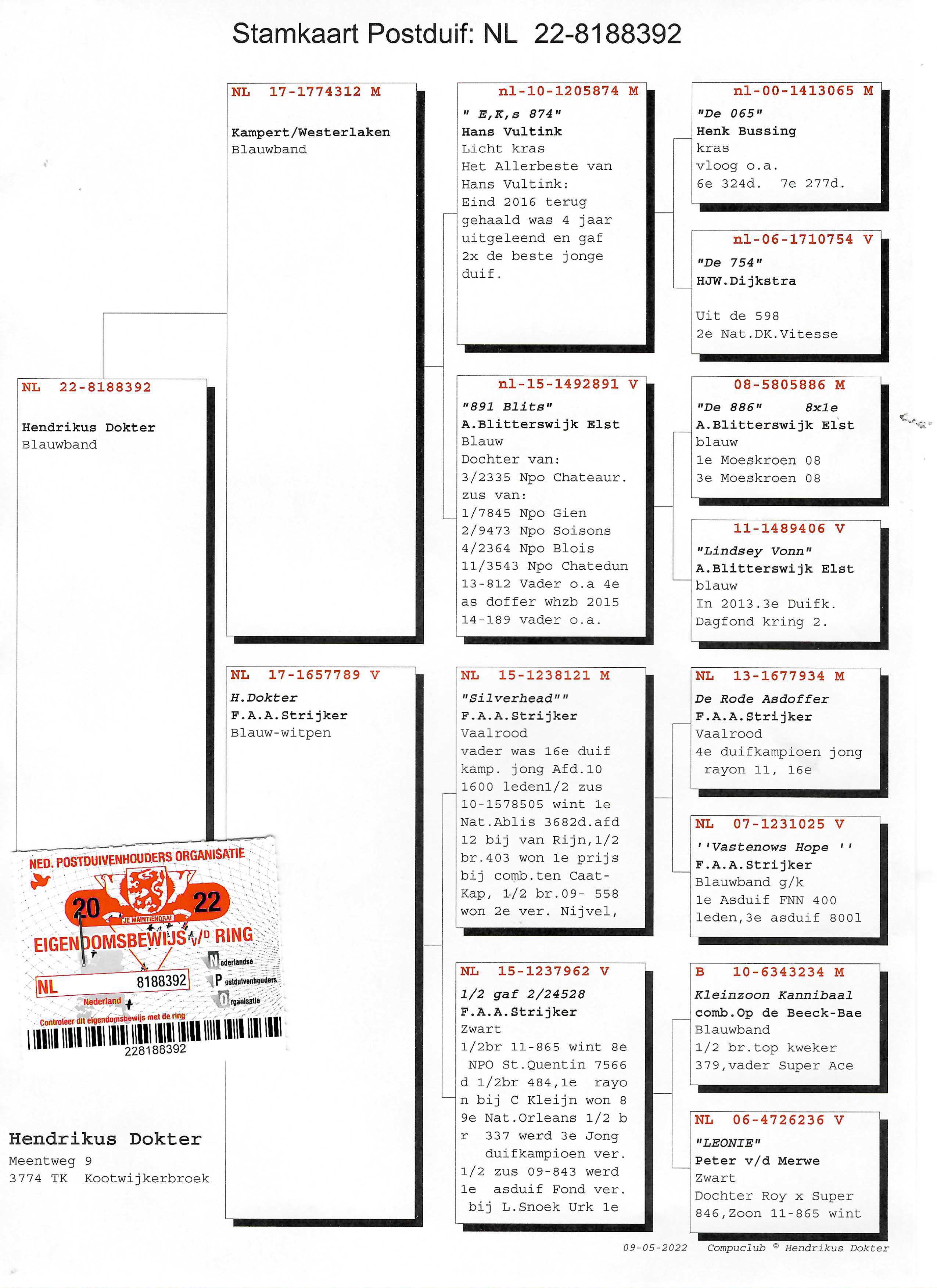 Pigeon pedigree image