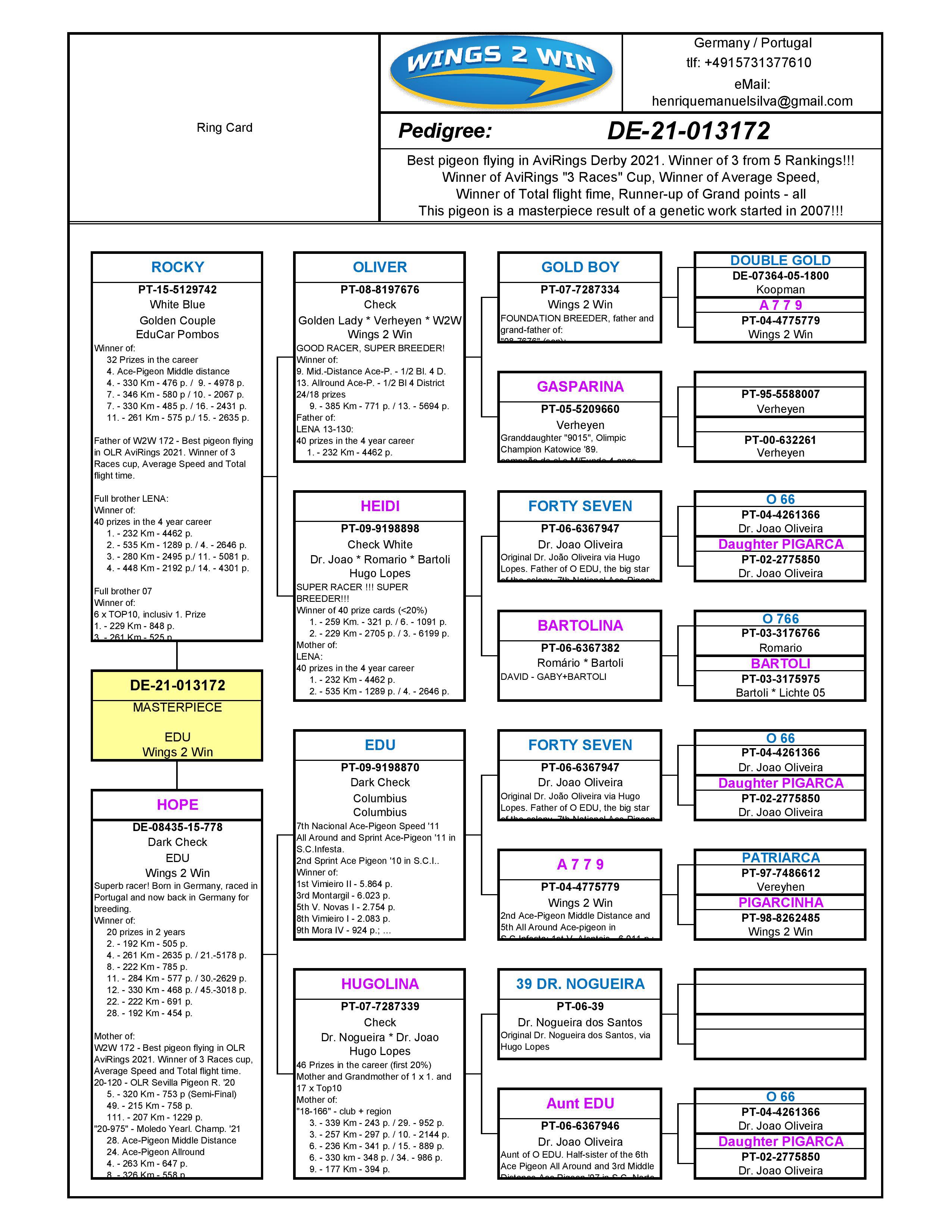 Pigeon pedigree image