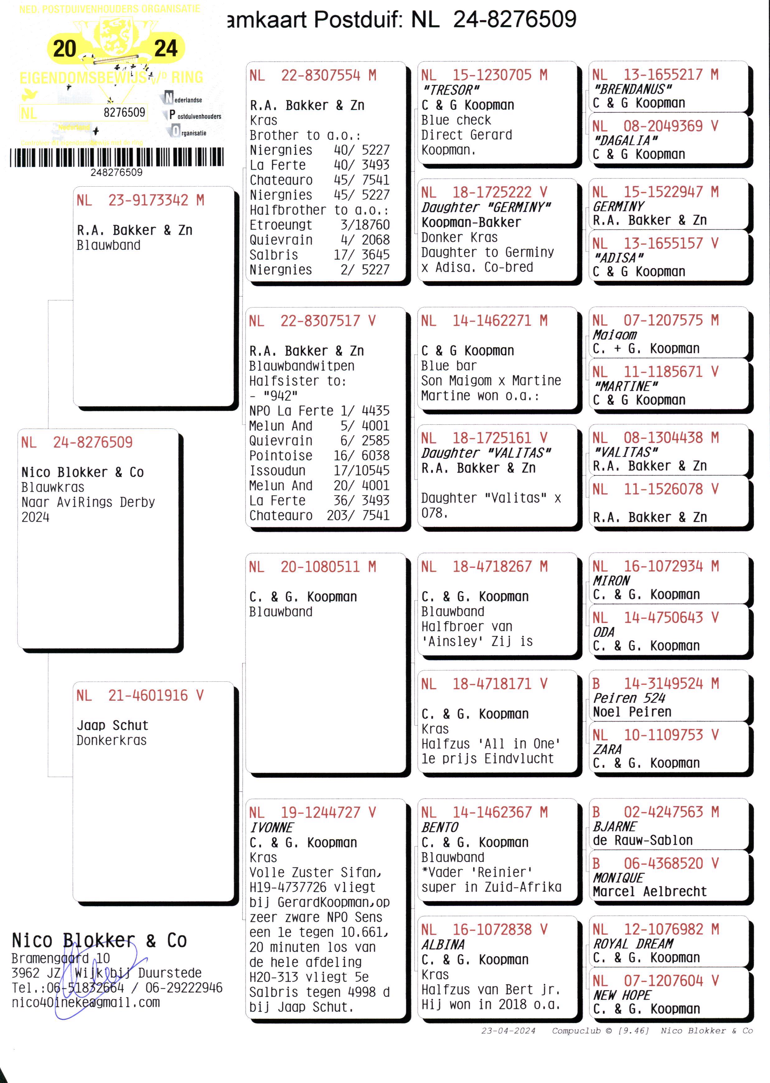 Pigeon pedigree image
