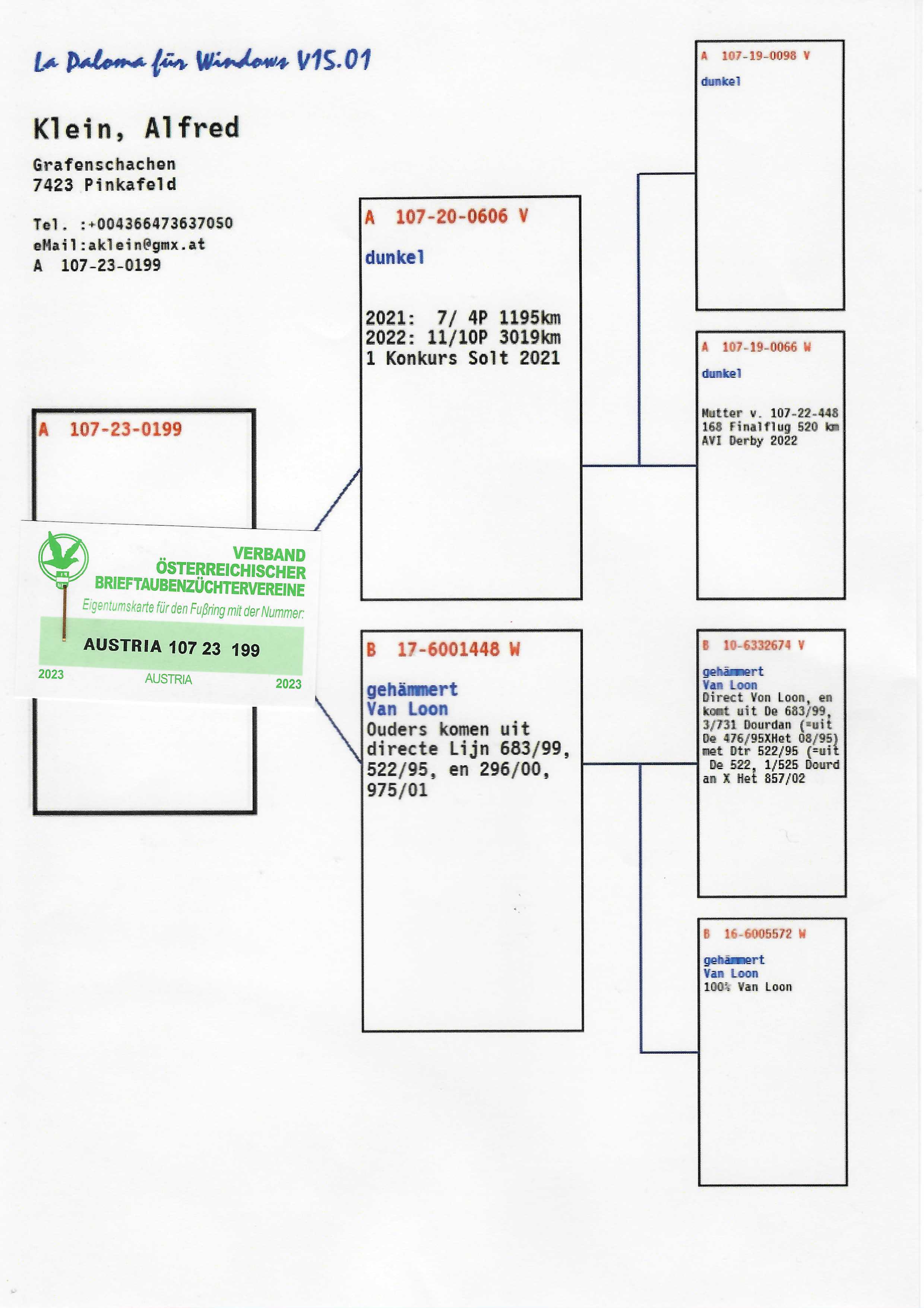 Pigeon pedigree image