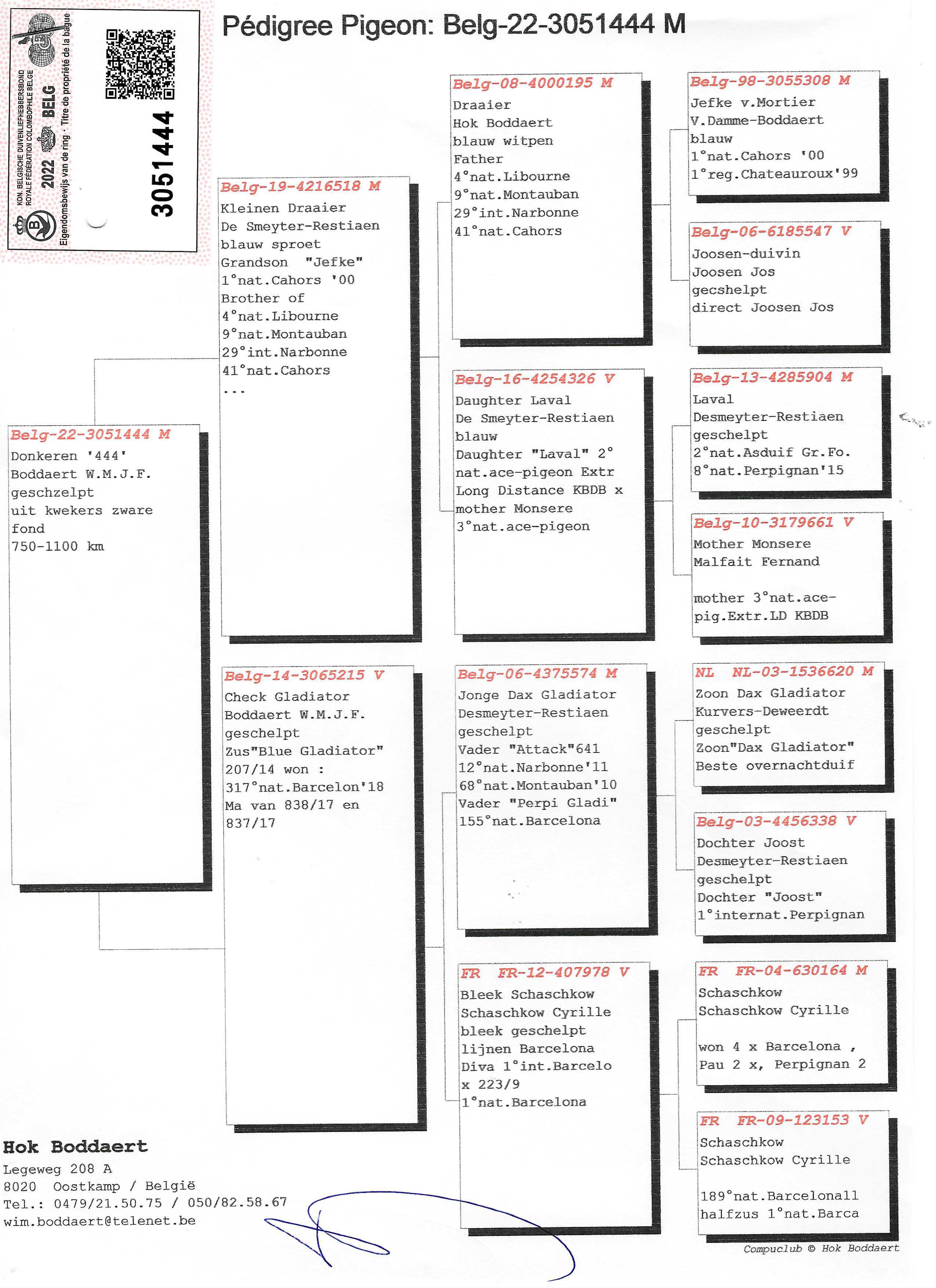 Pigeon pedigree image