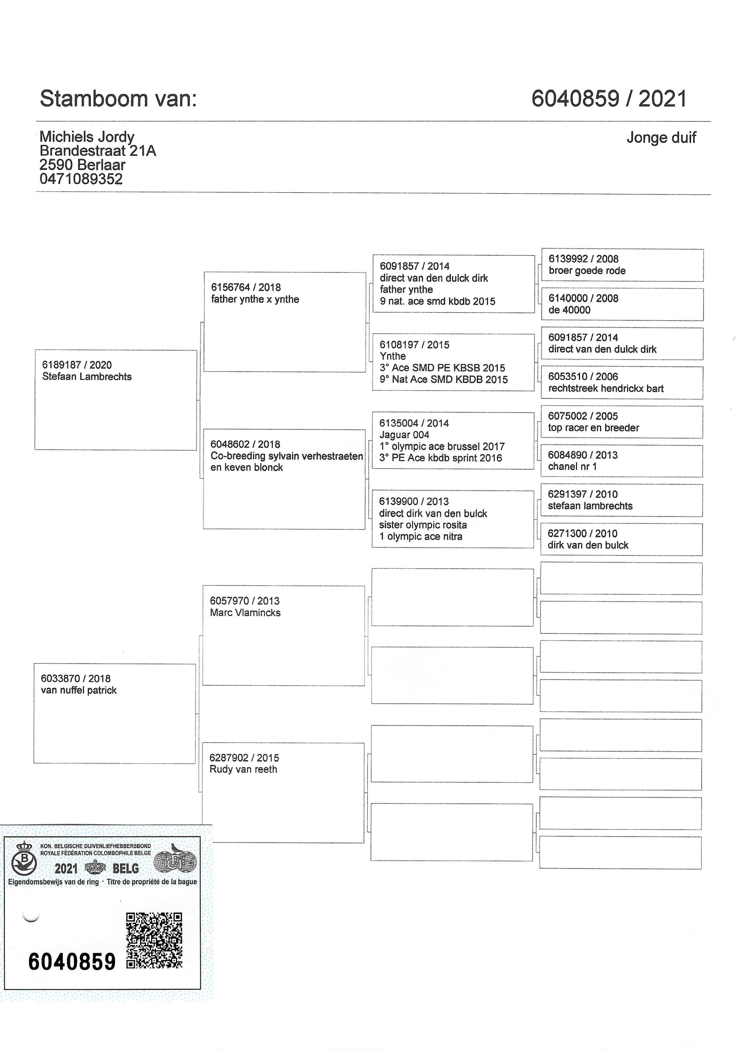 Pigeon pedigree image