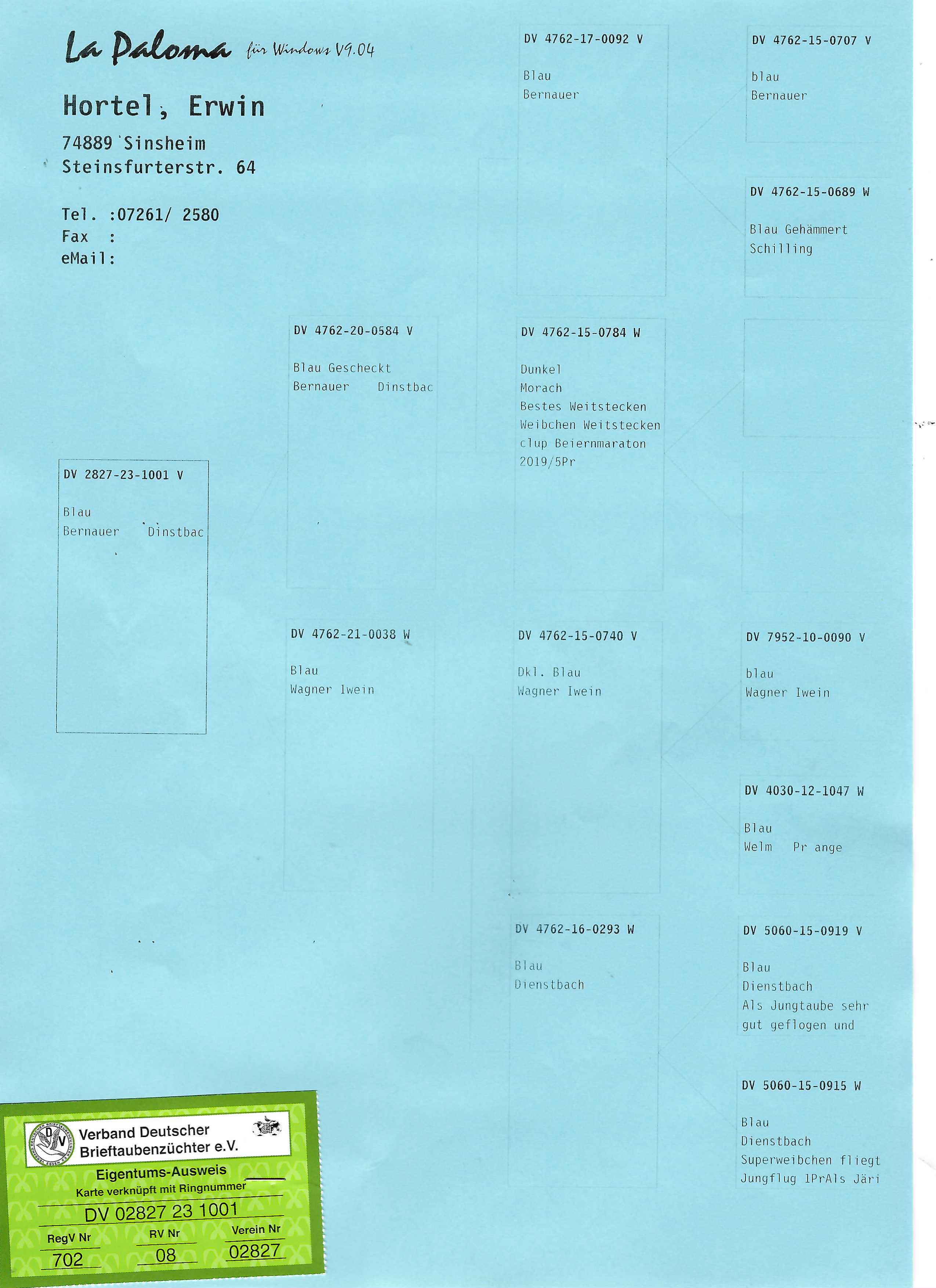 Pigeon pedigree image