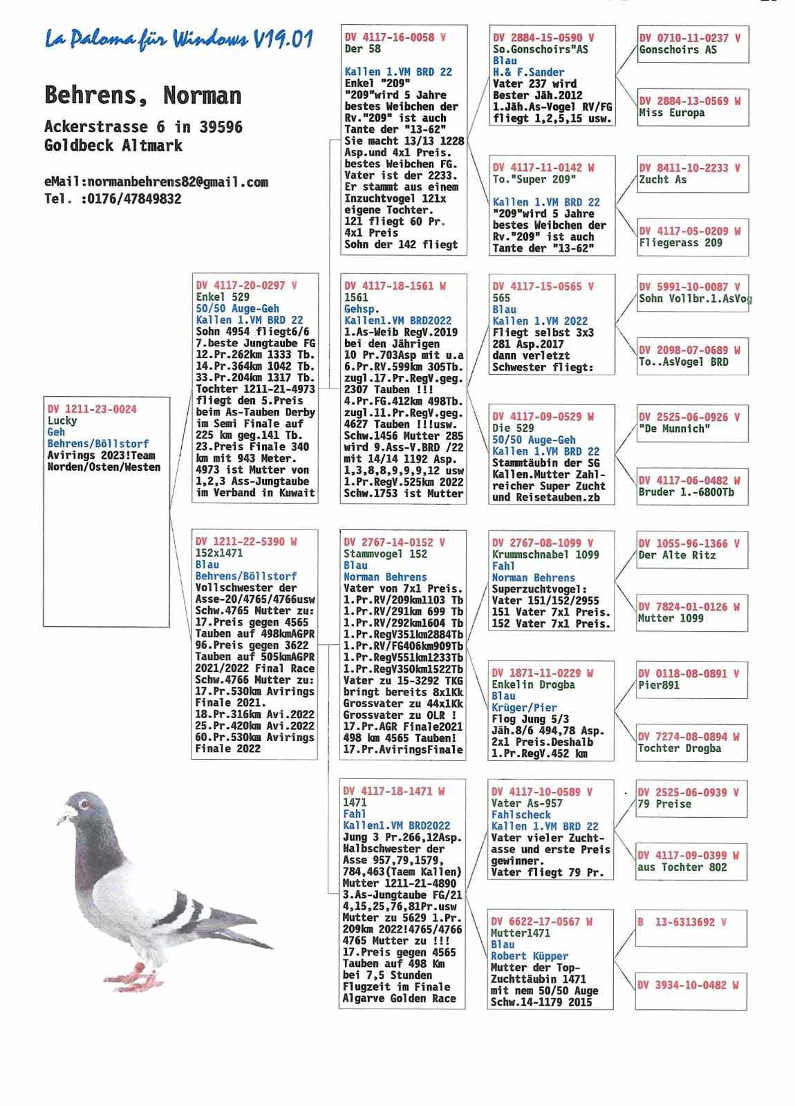 Pigeon pedigree image