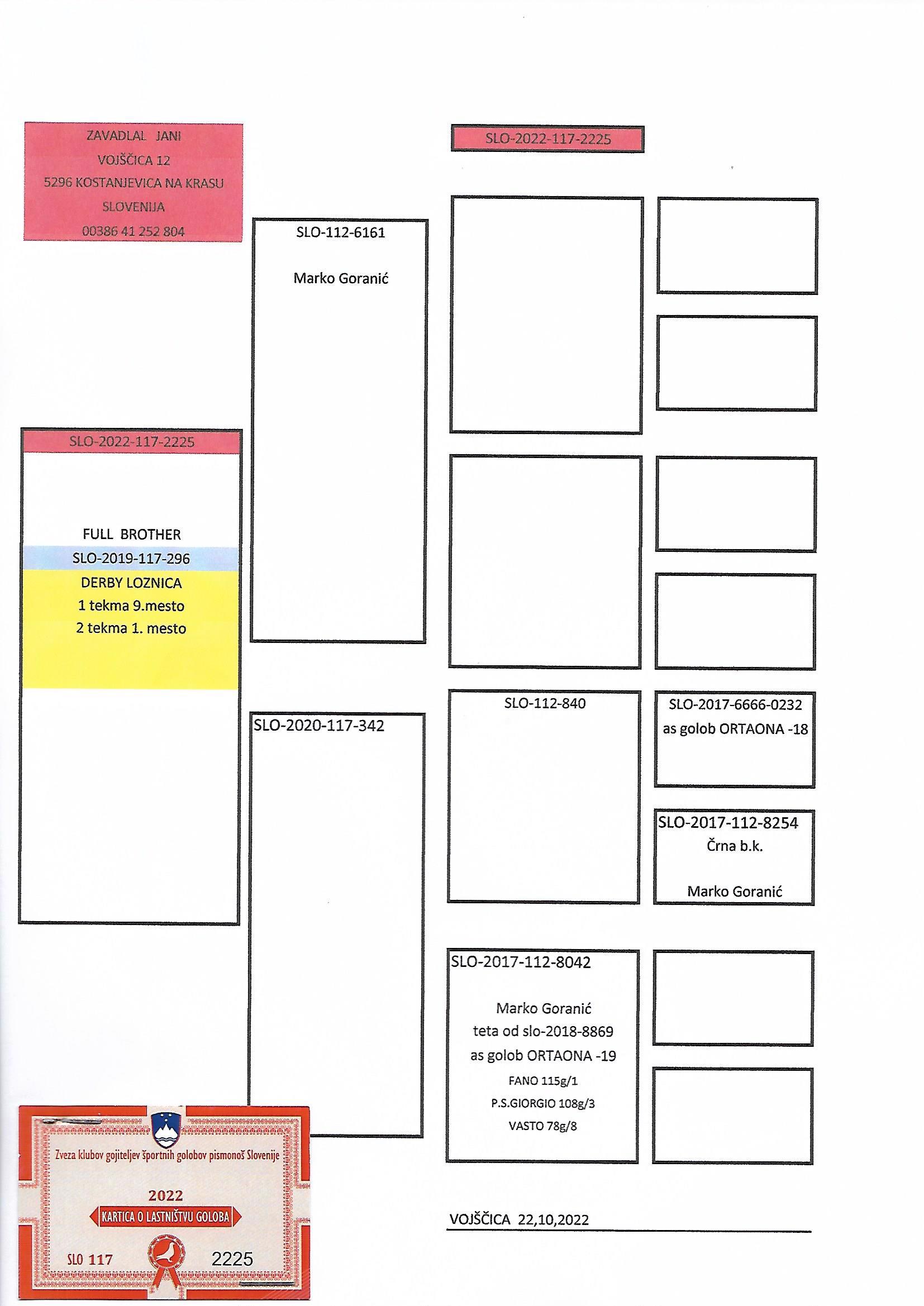 Pigeon pedigree image
