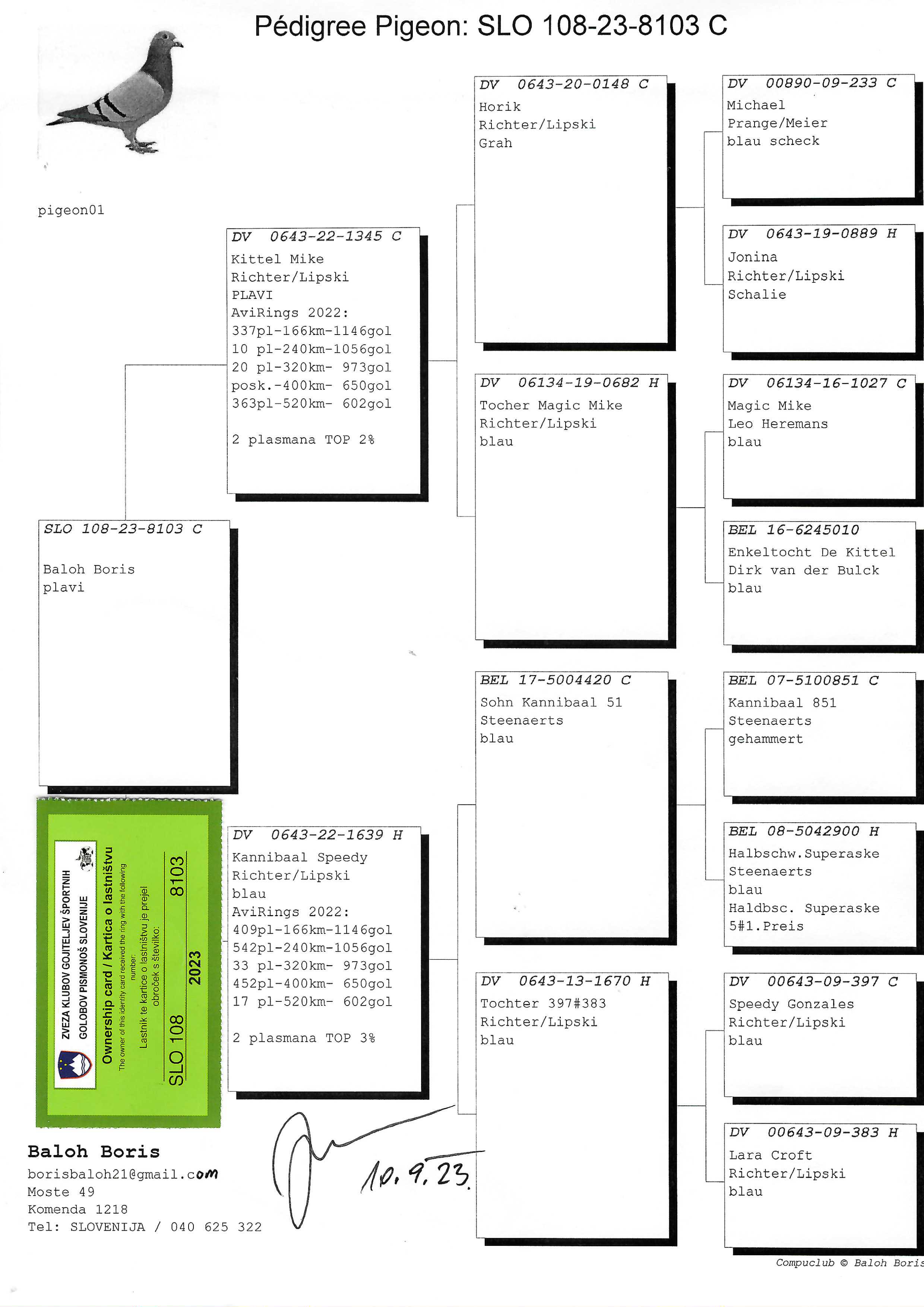 Pigeon pedigree image