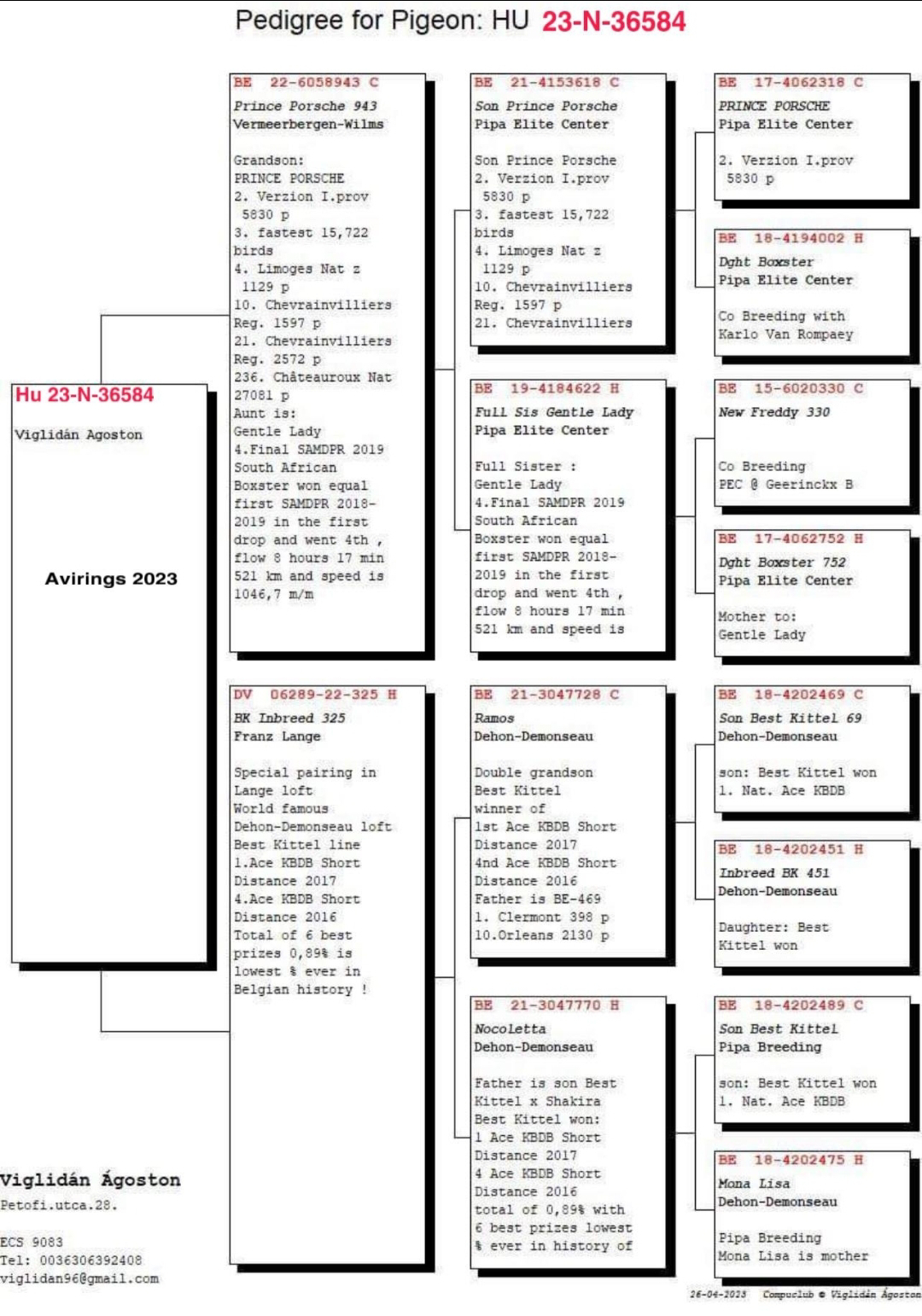 Pigeon pedigree image