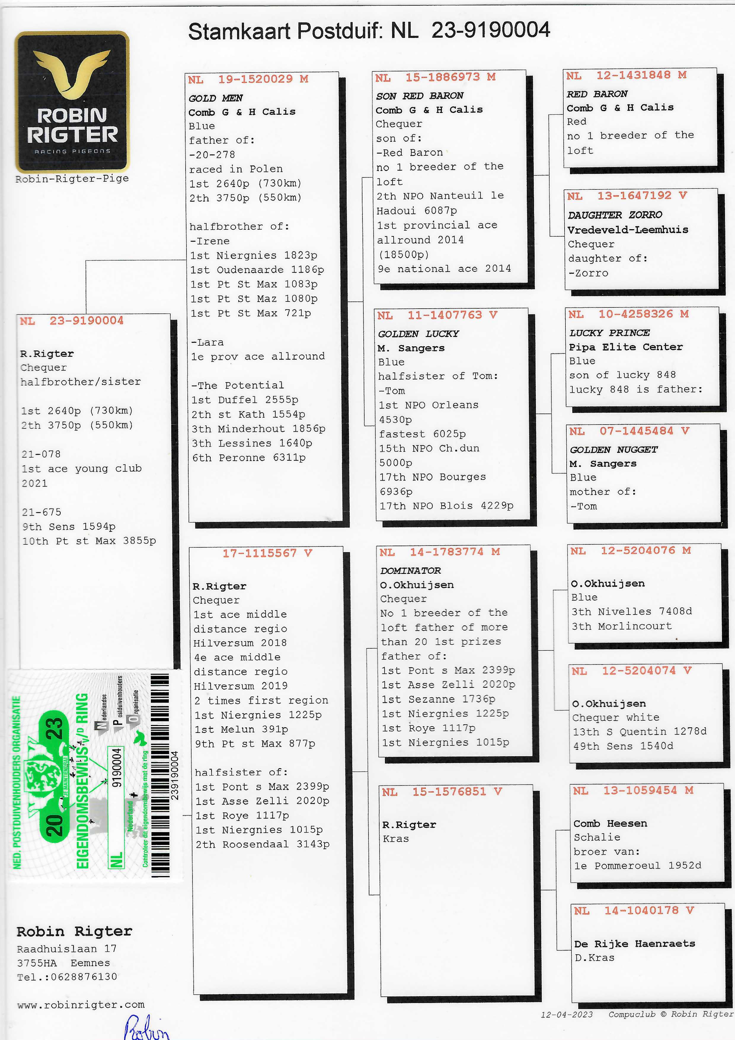 Pigeon pedigree image