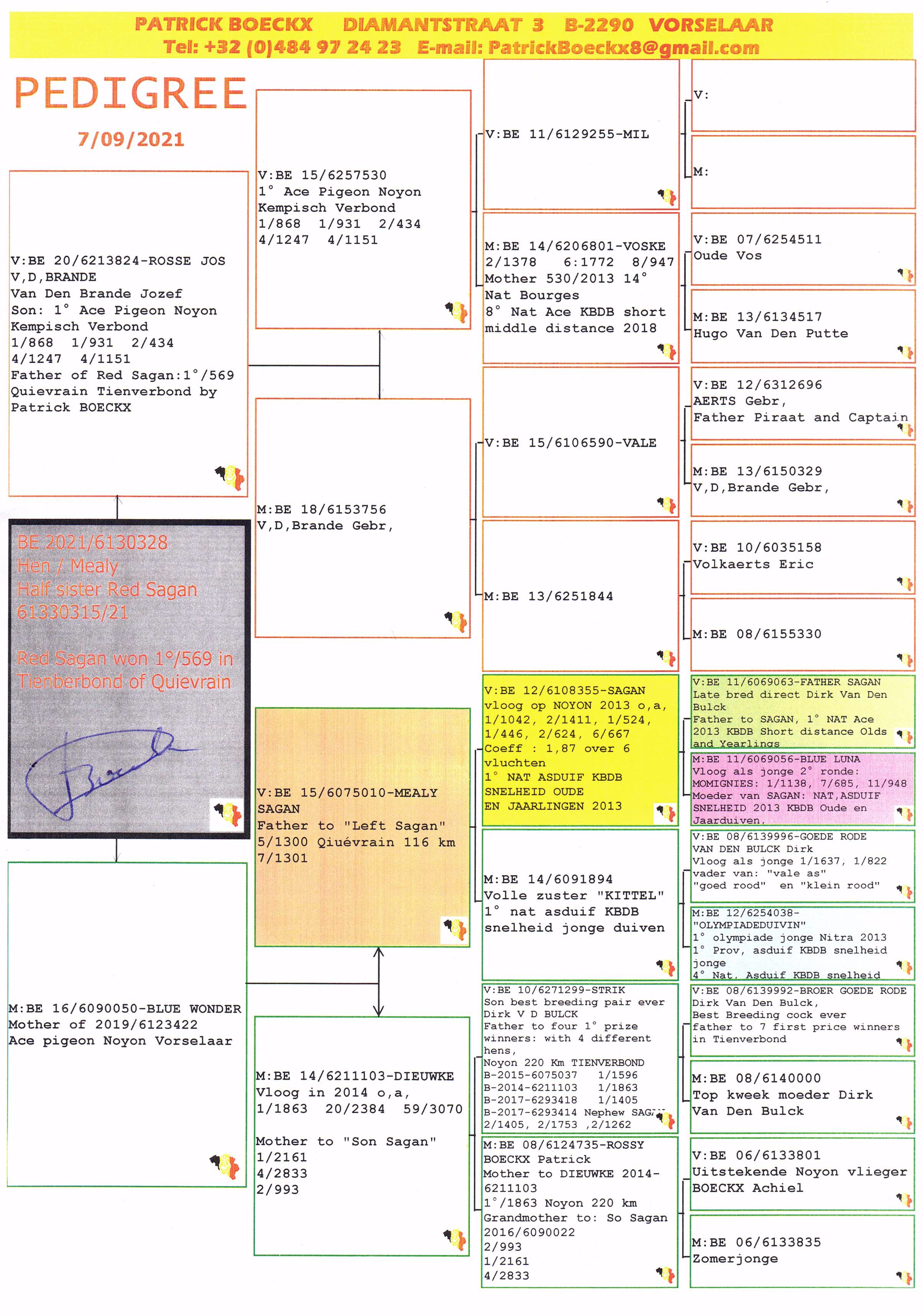 Pigeon pedigree image