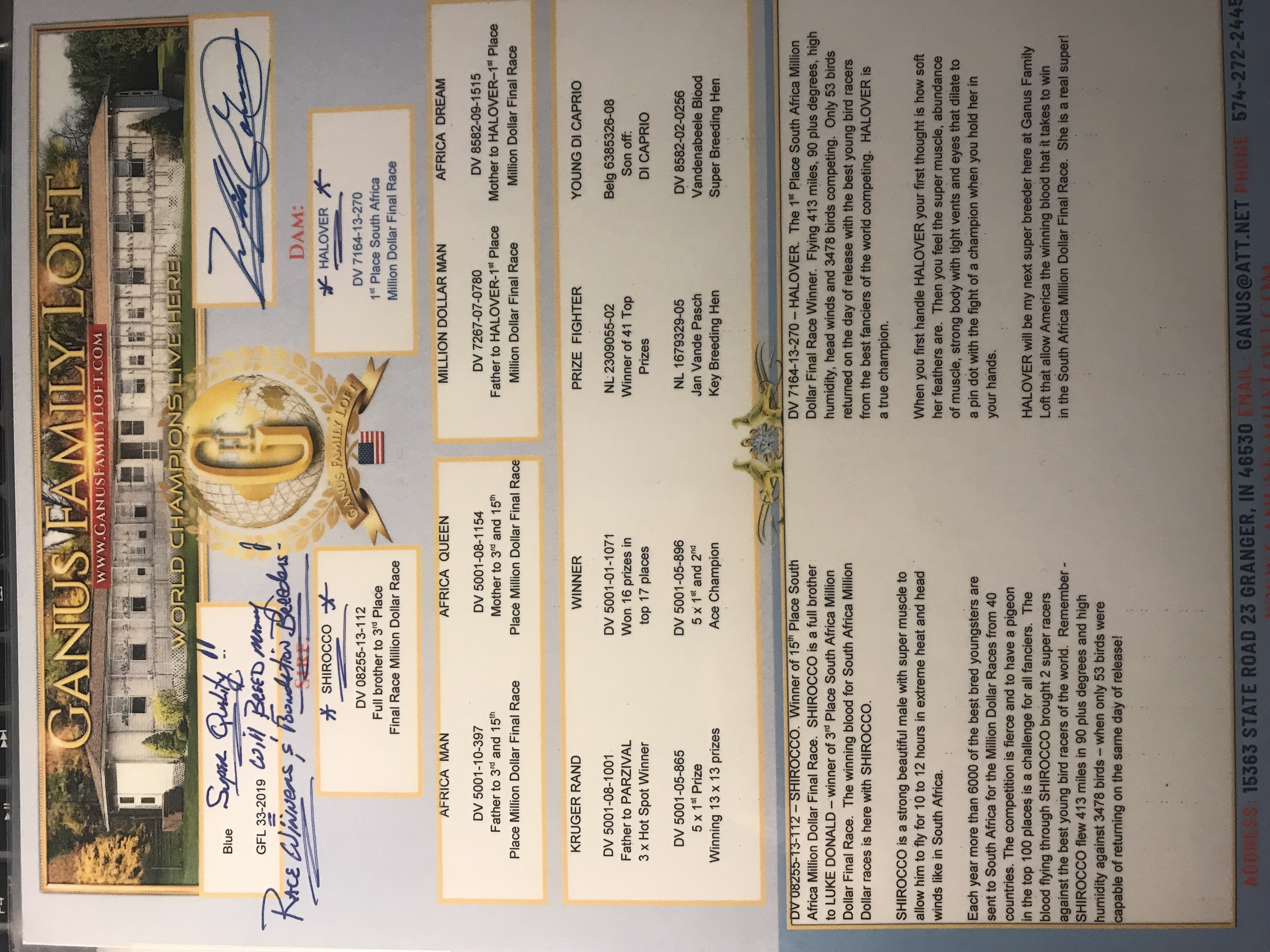 Pigeon pedigree image