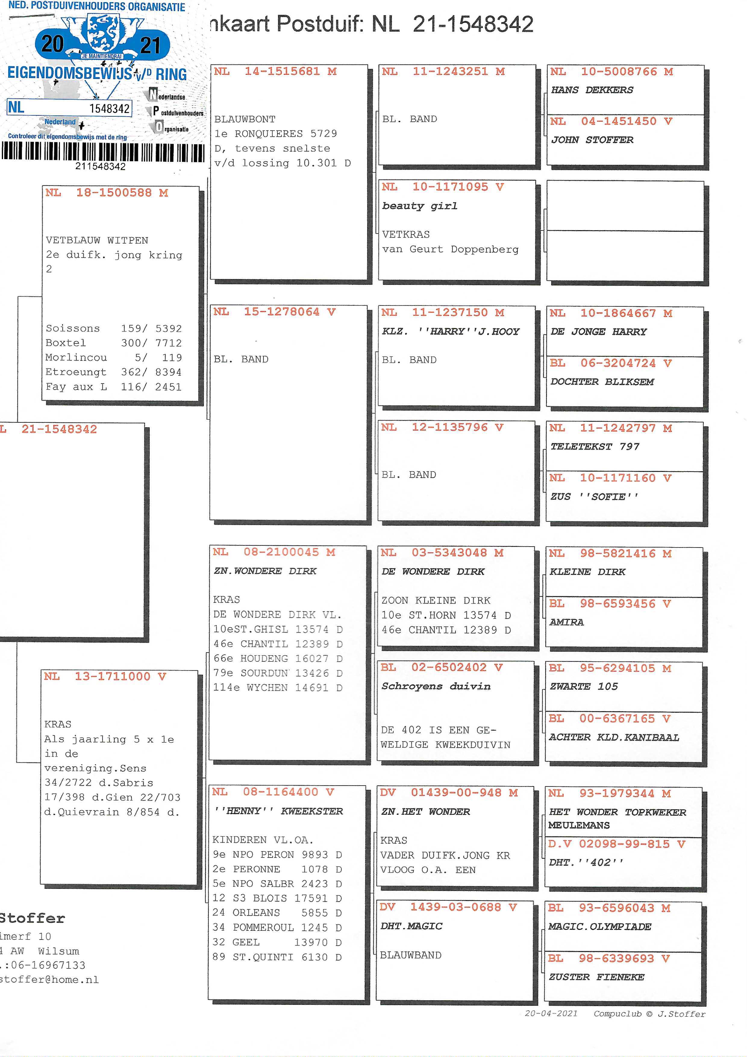 Pigeon pedigree image