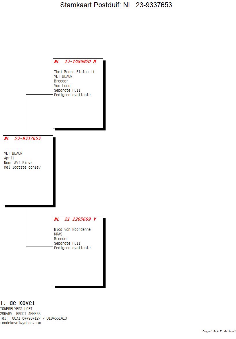 Pigeon pedigree image