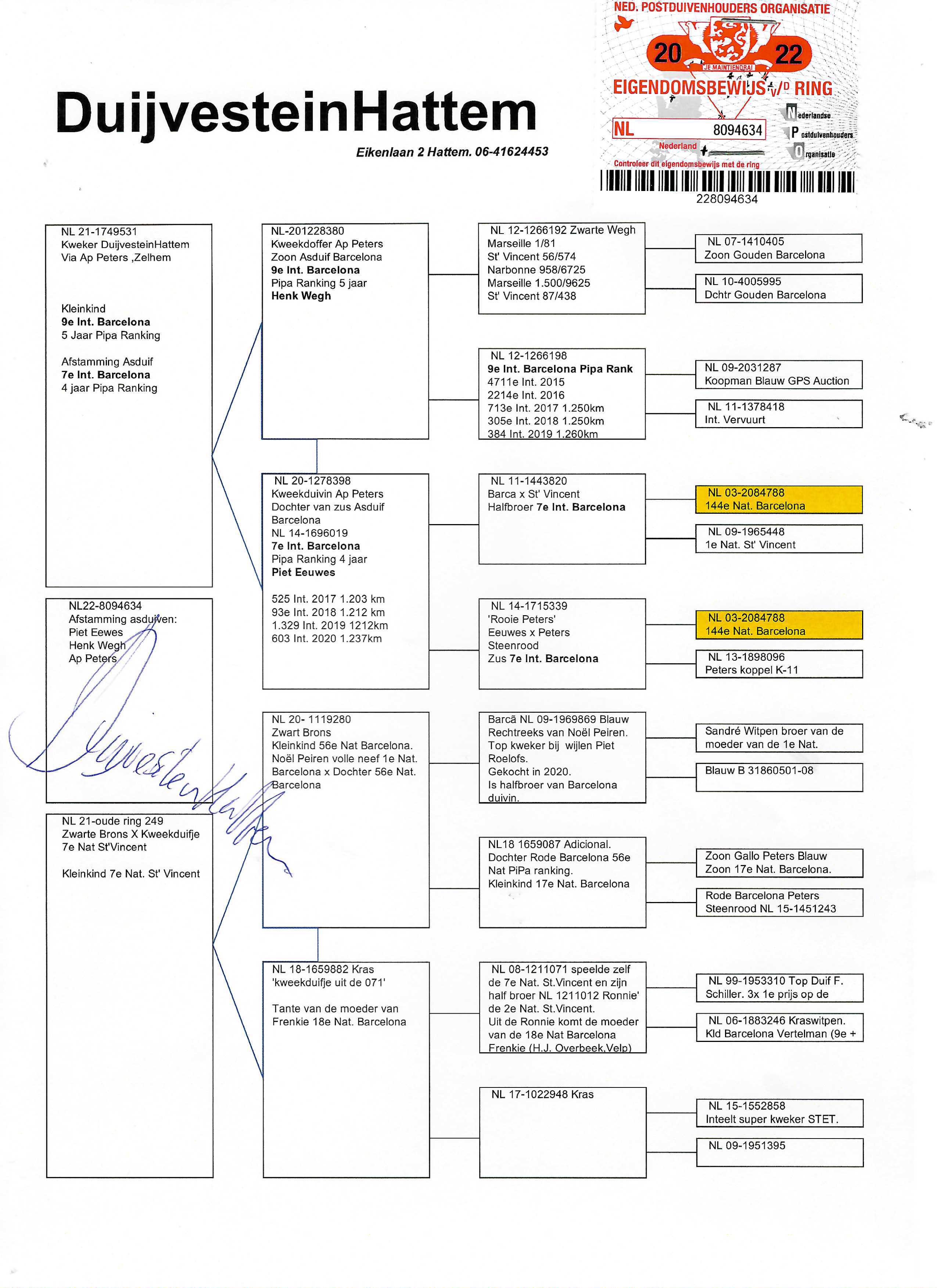Pigeon pedigree image