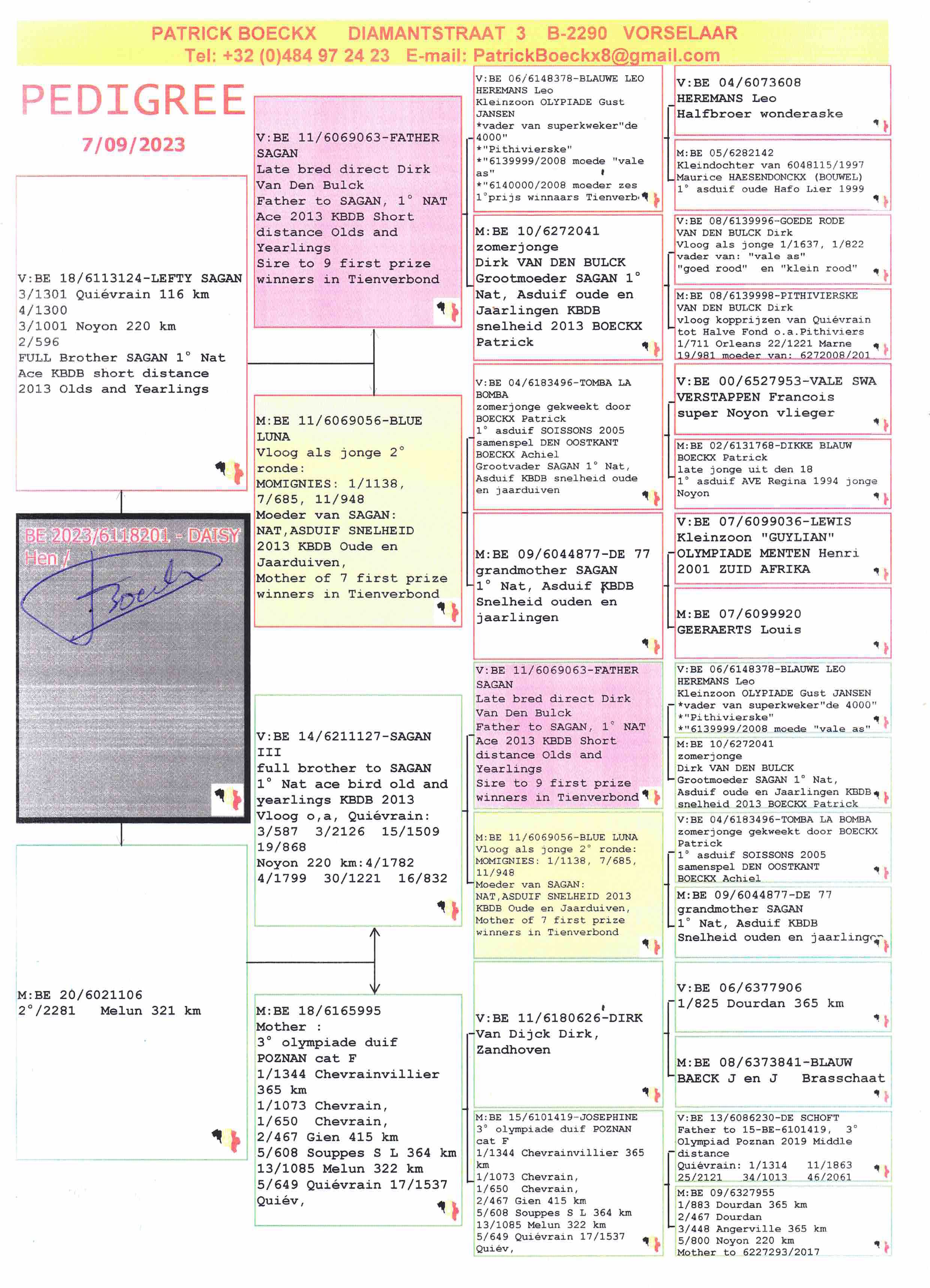 Pigeon pedigree image