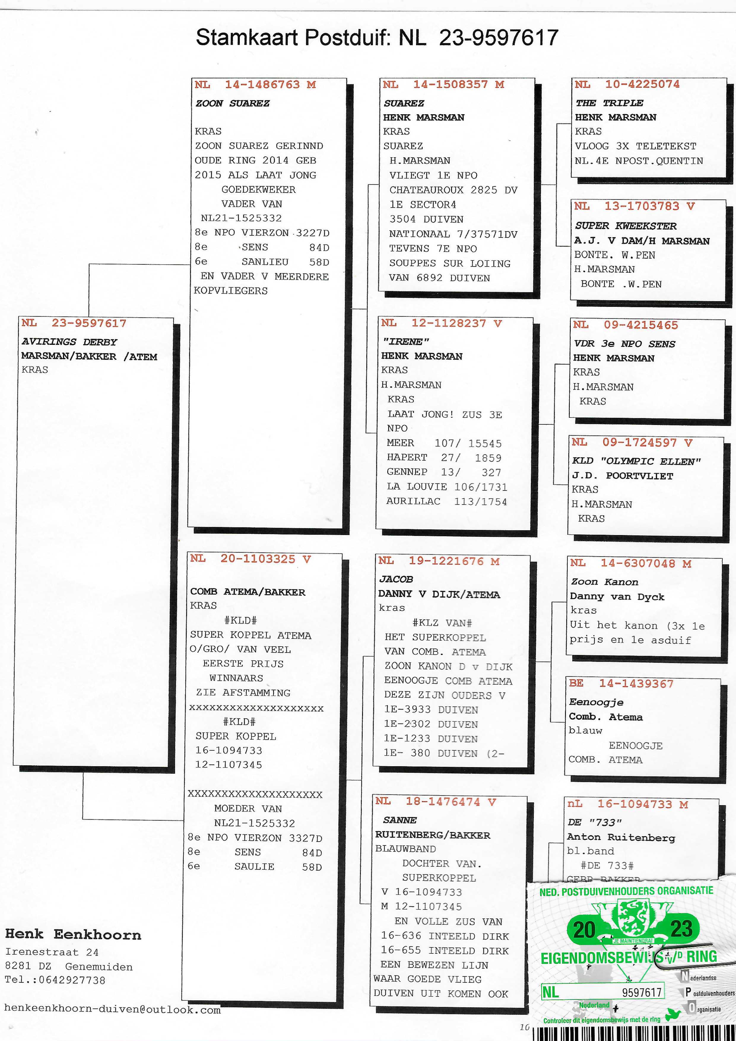 Pigeon pedigree image