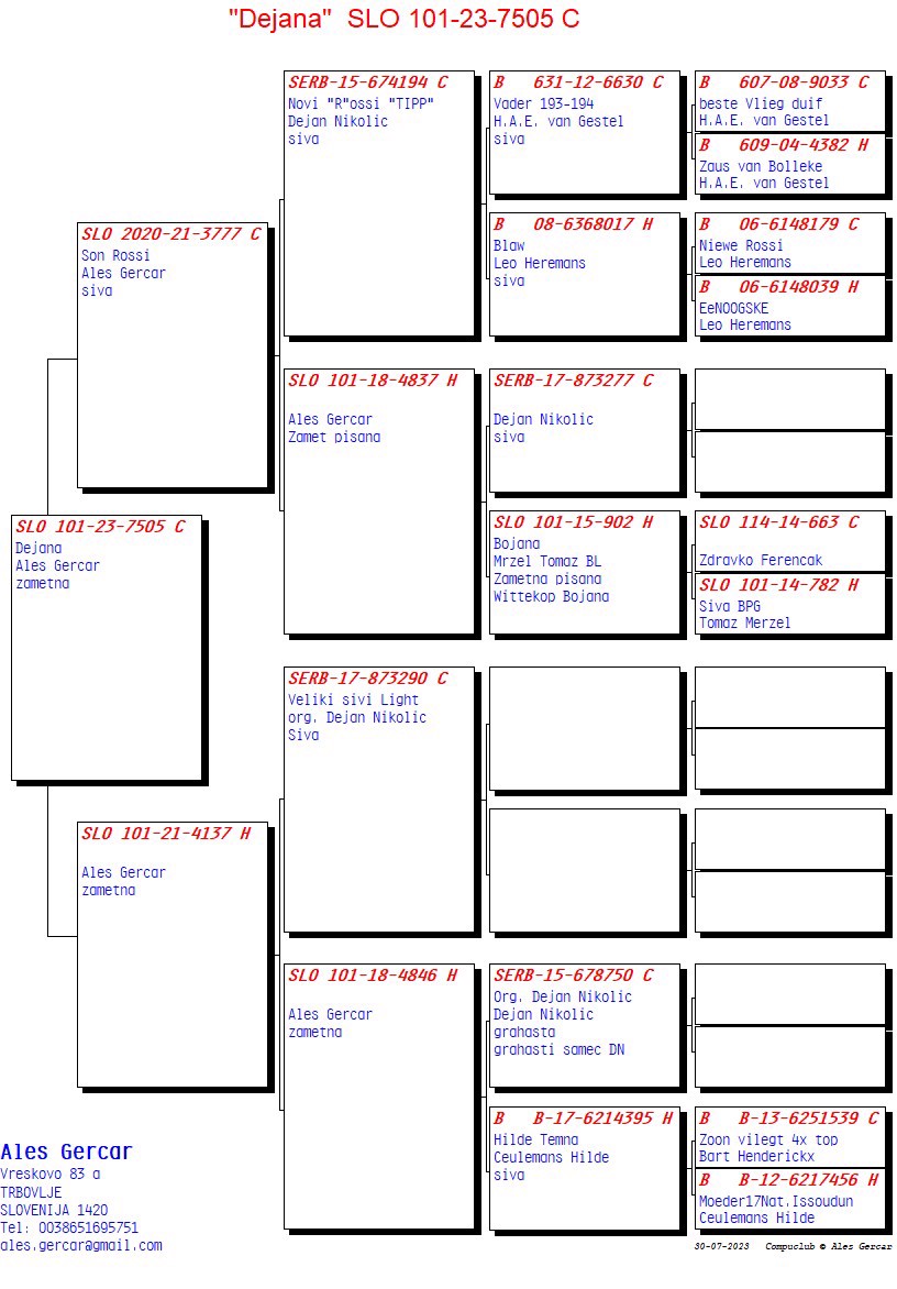 Pigeon pedigree image