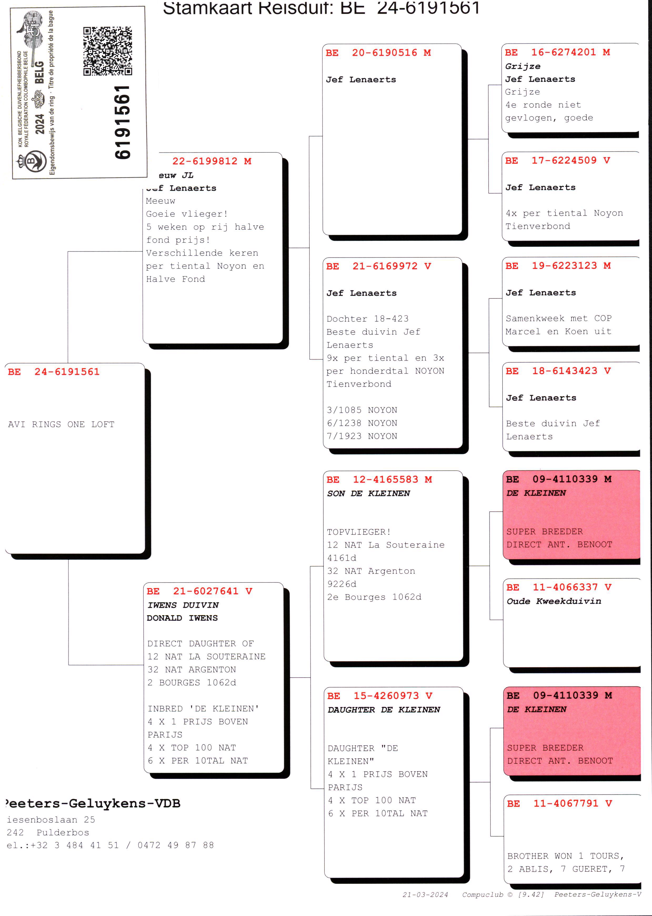 Pigeon pedigree image