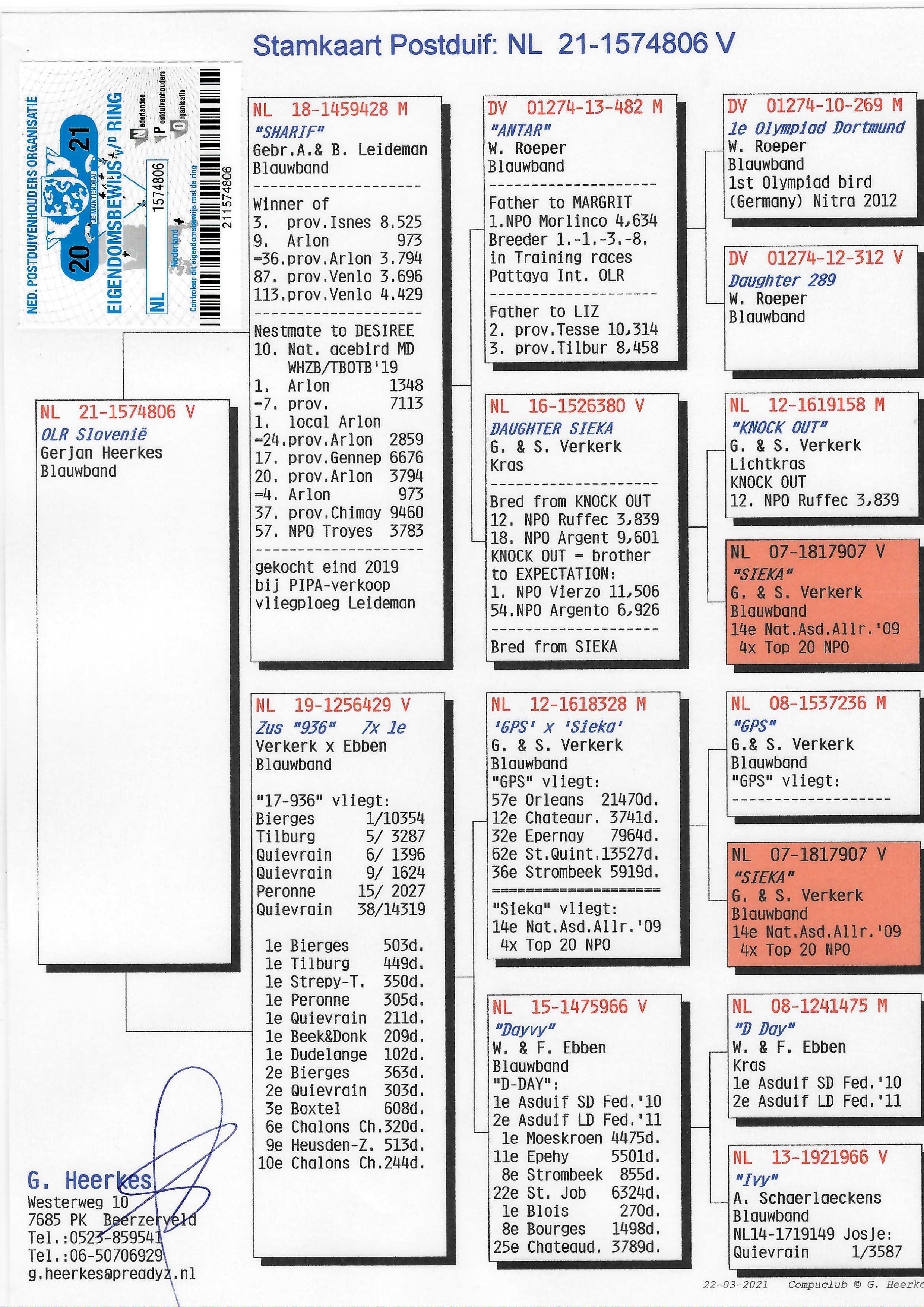 Pigeon pedigree image