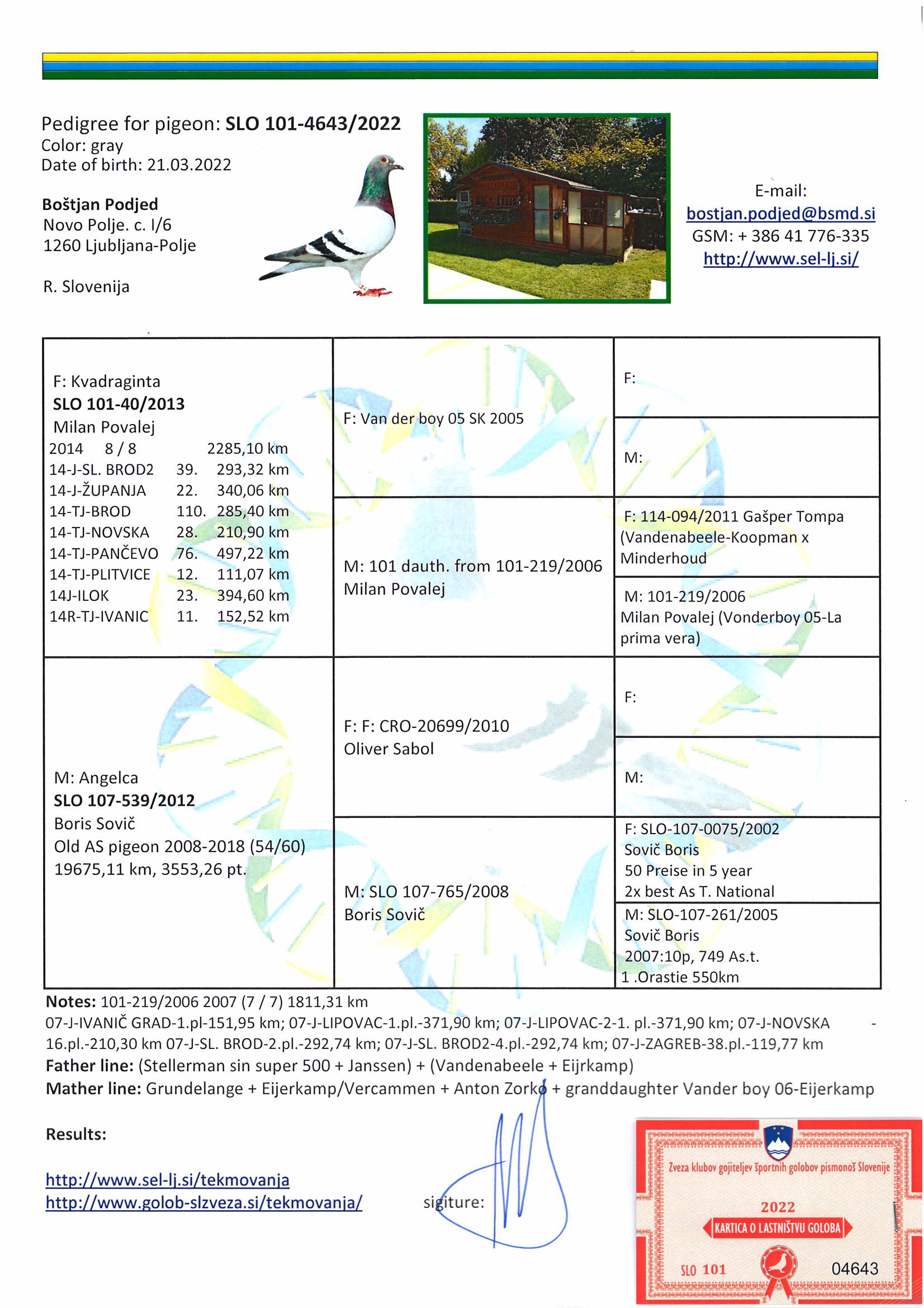 Pigeon pedigree image