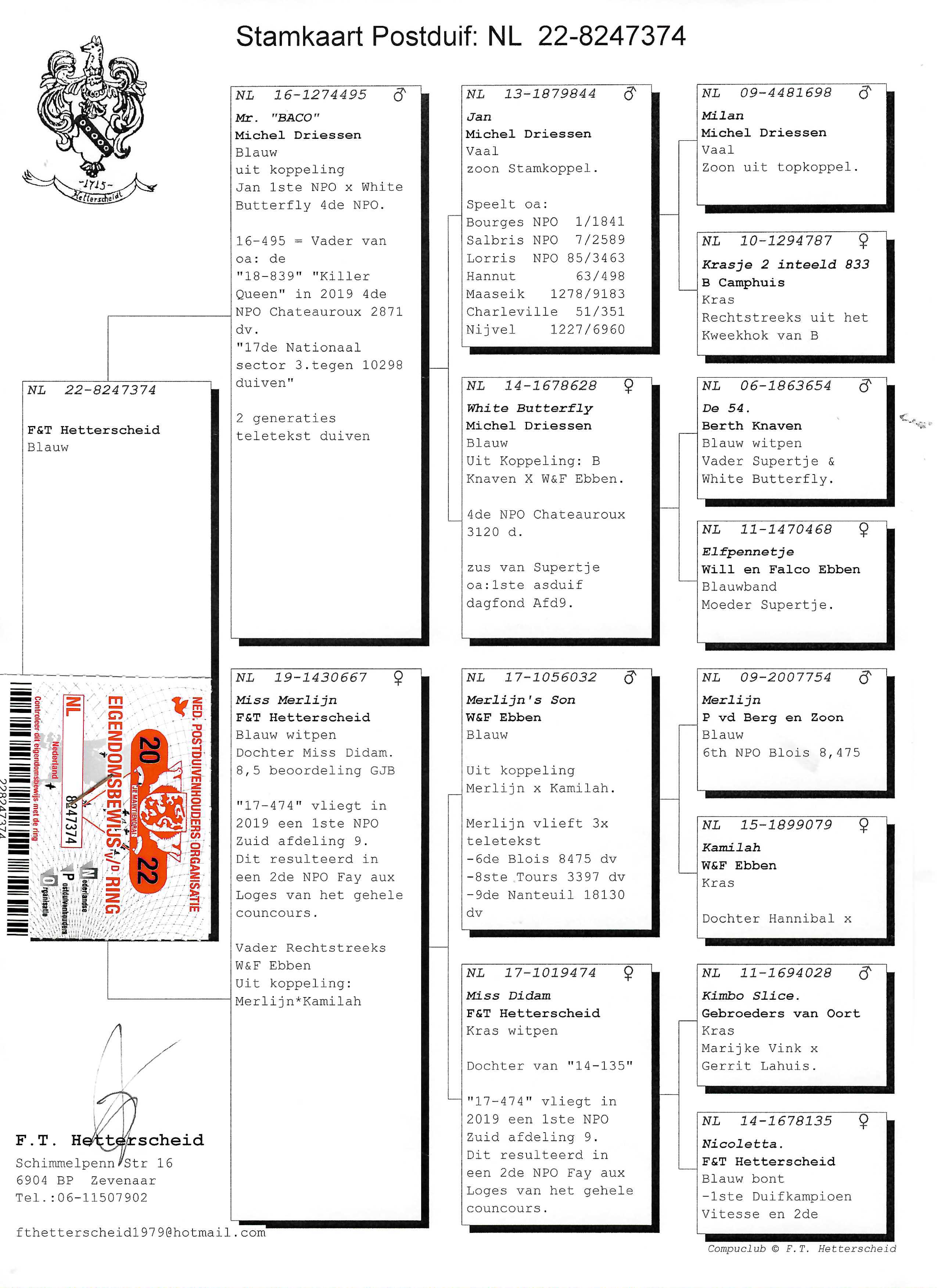 Pigeon pedigree image