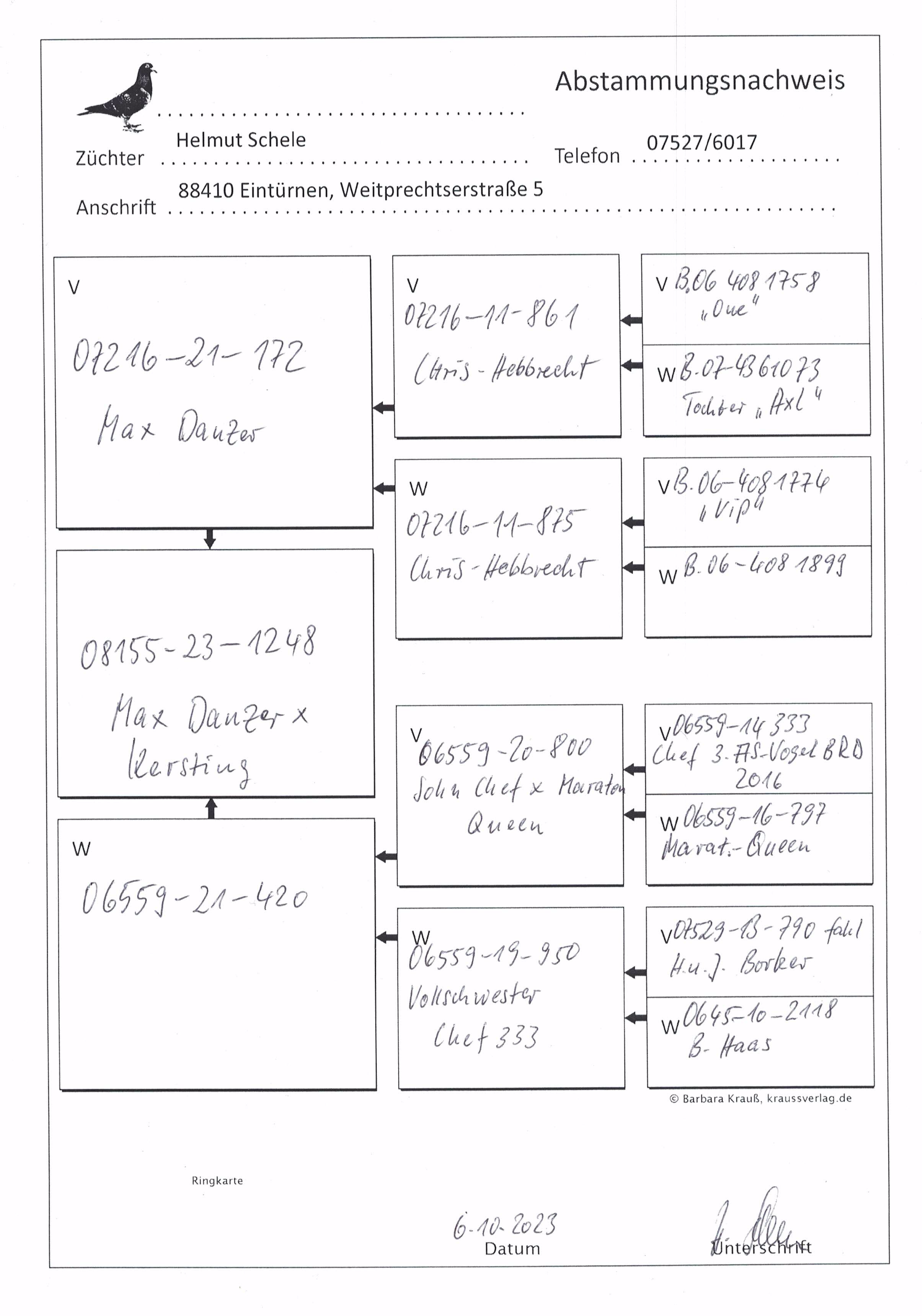 Pigeon pedigree image