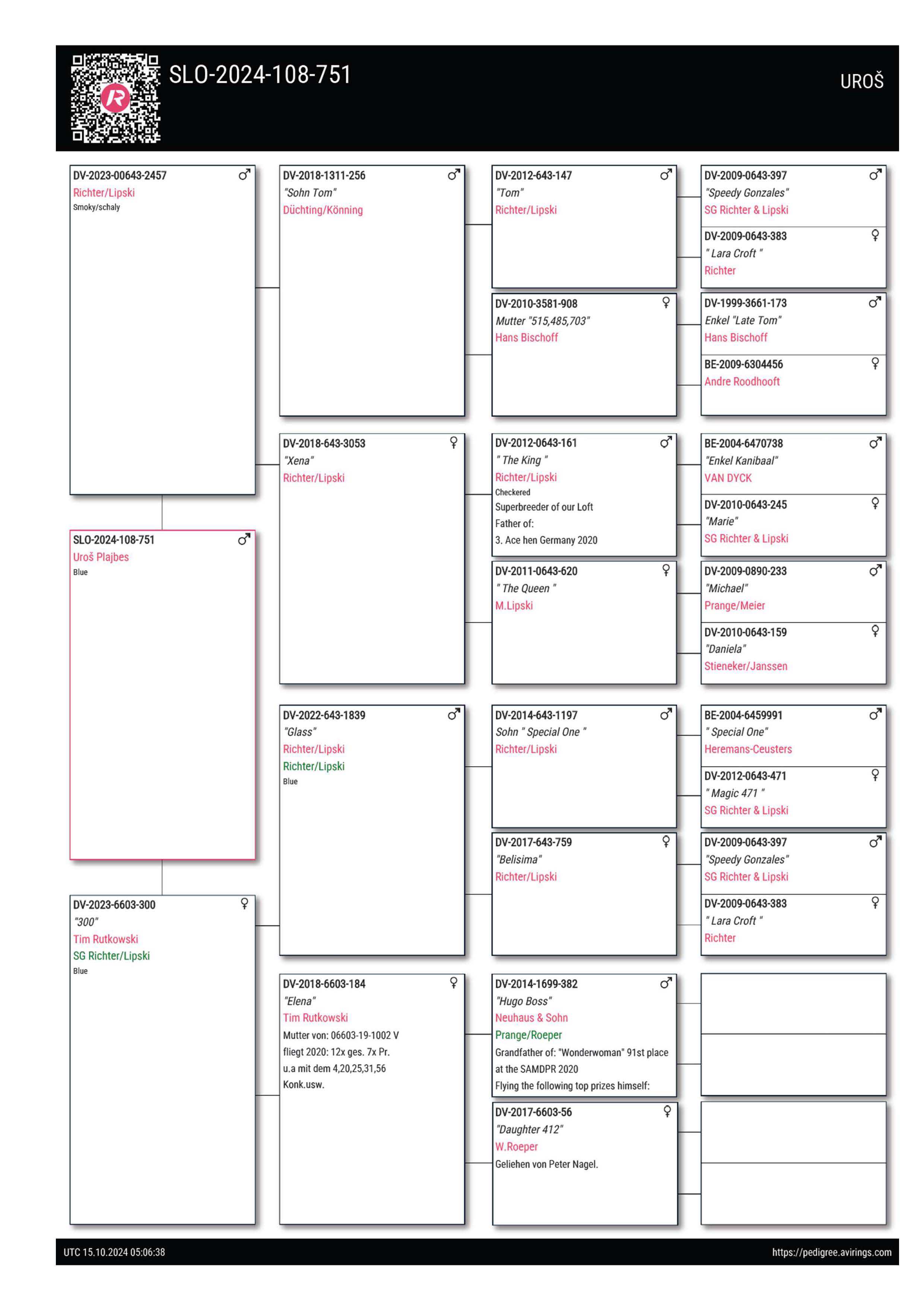 Pigeon pedigree image
