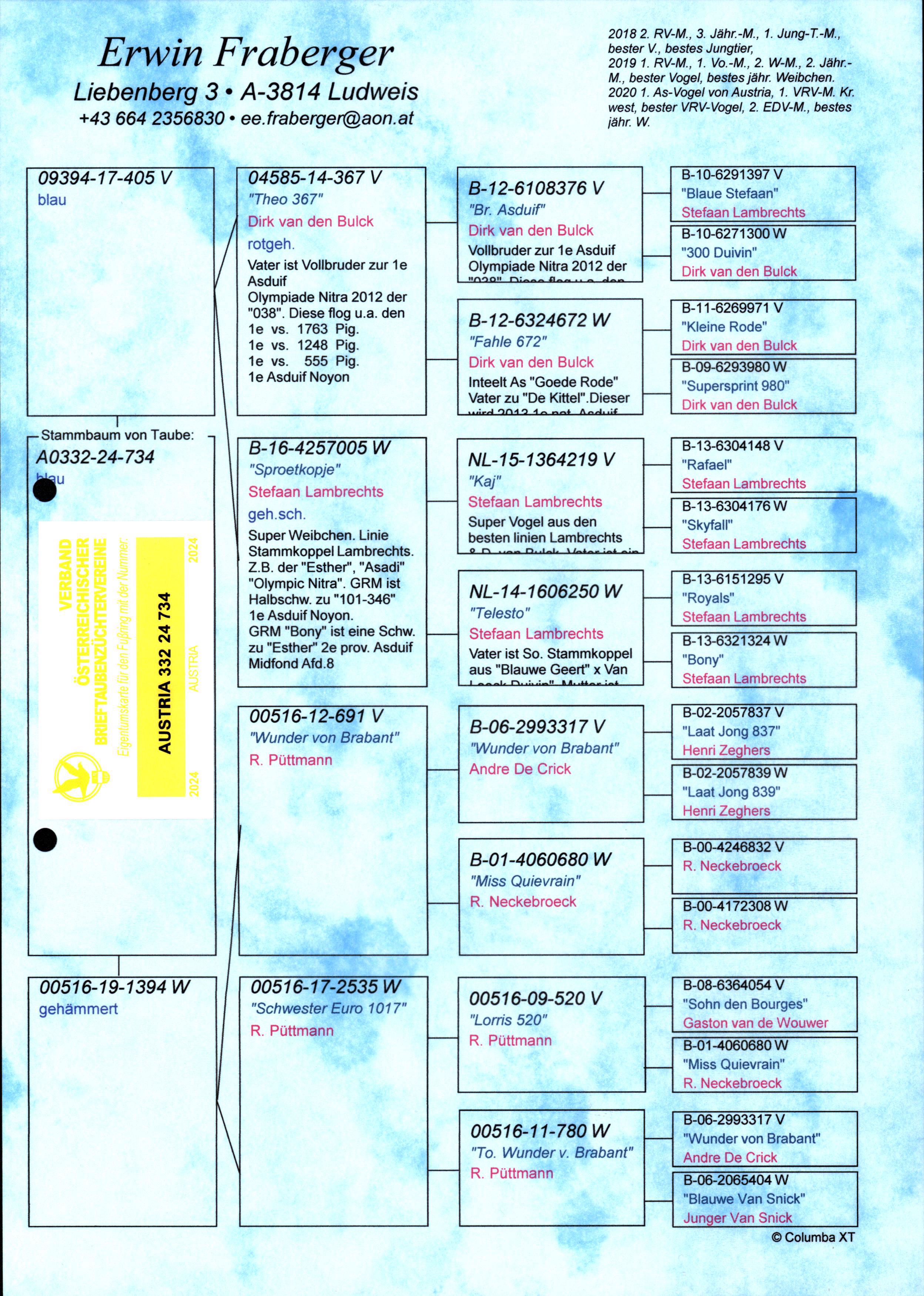 Pigeon pedigree image