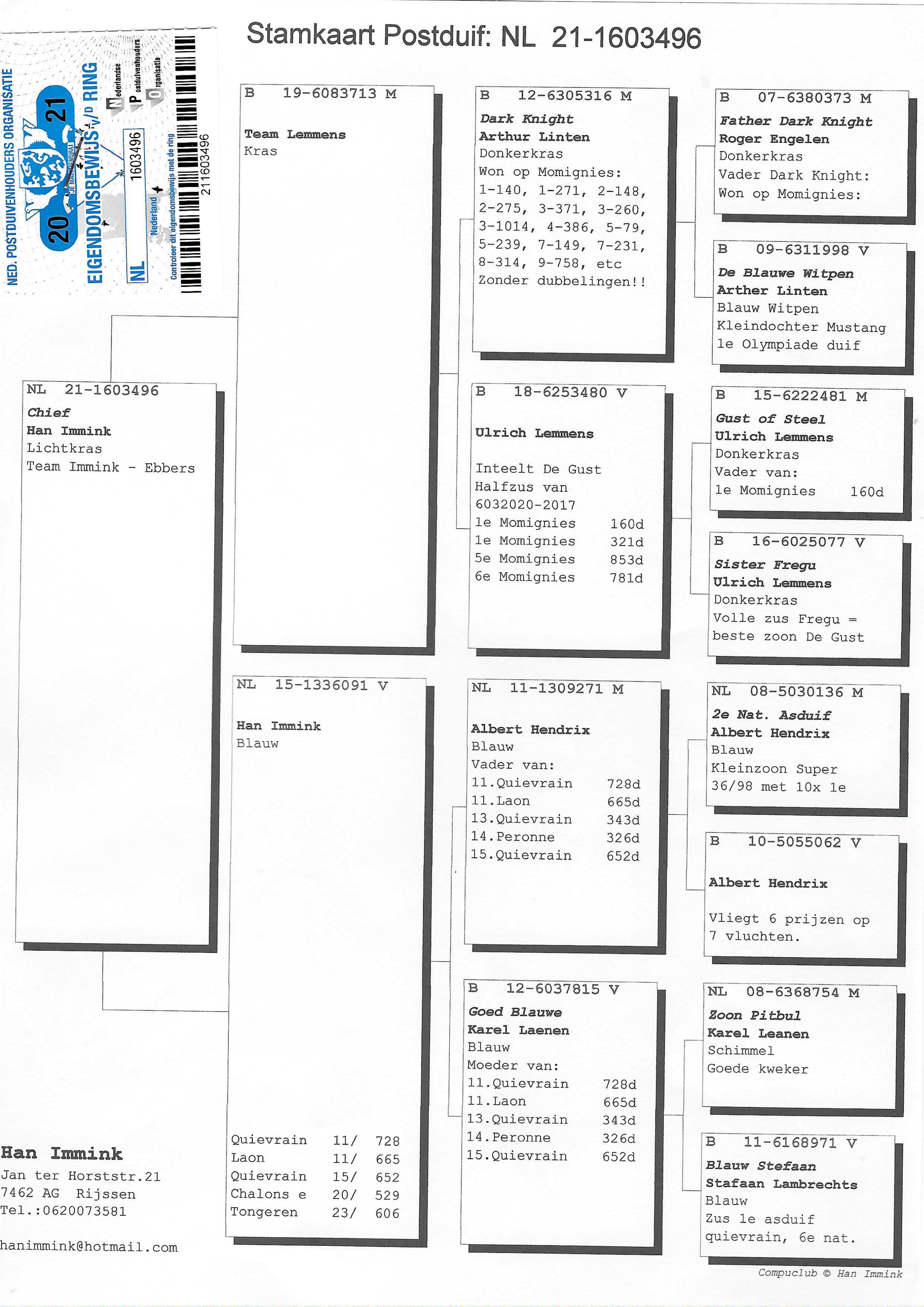 Pigeon pedigree image