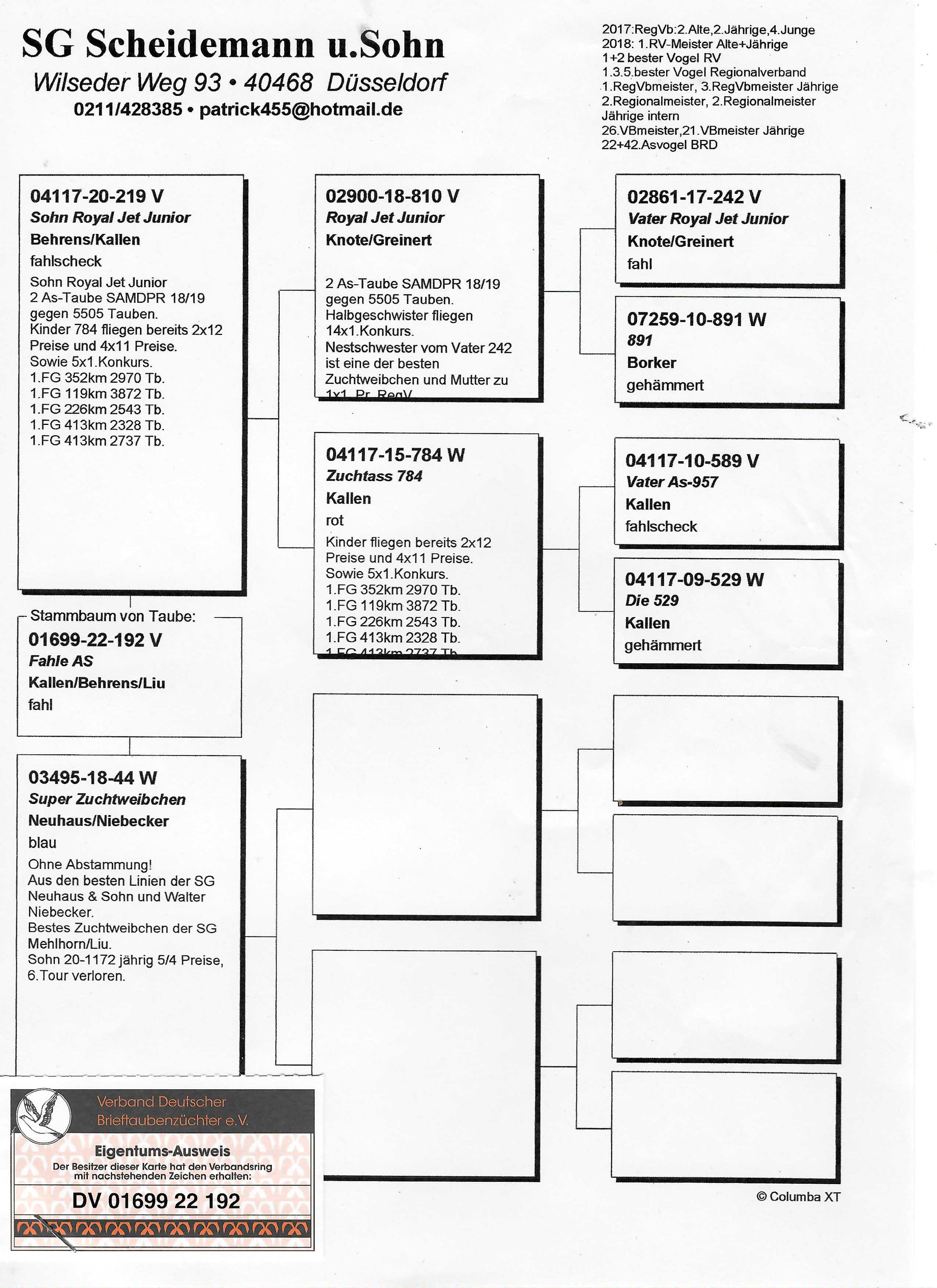 Pigeon pedigree image