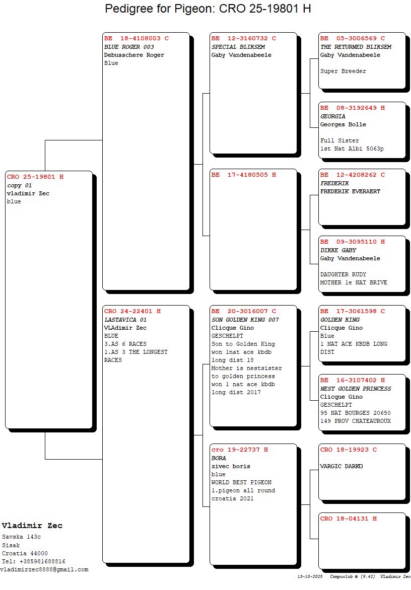 Pigeon pedigree image