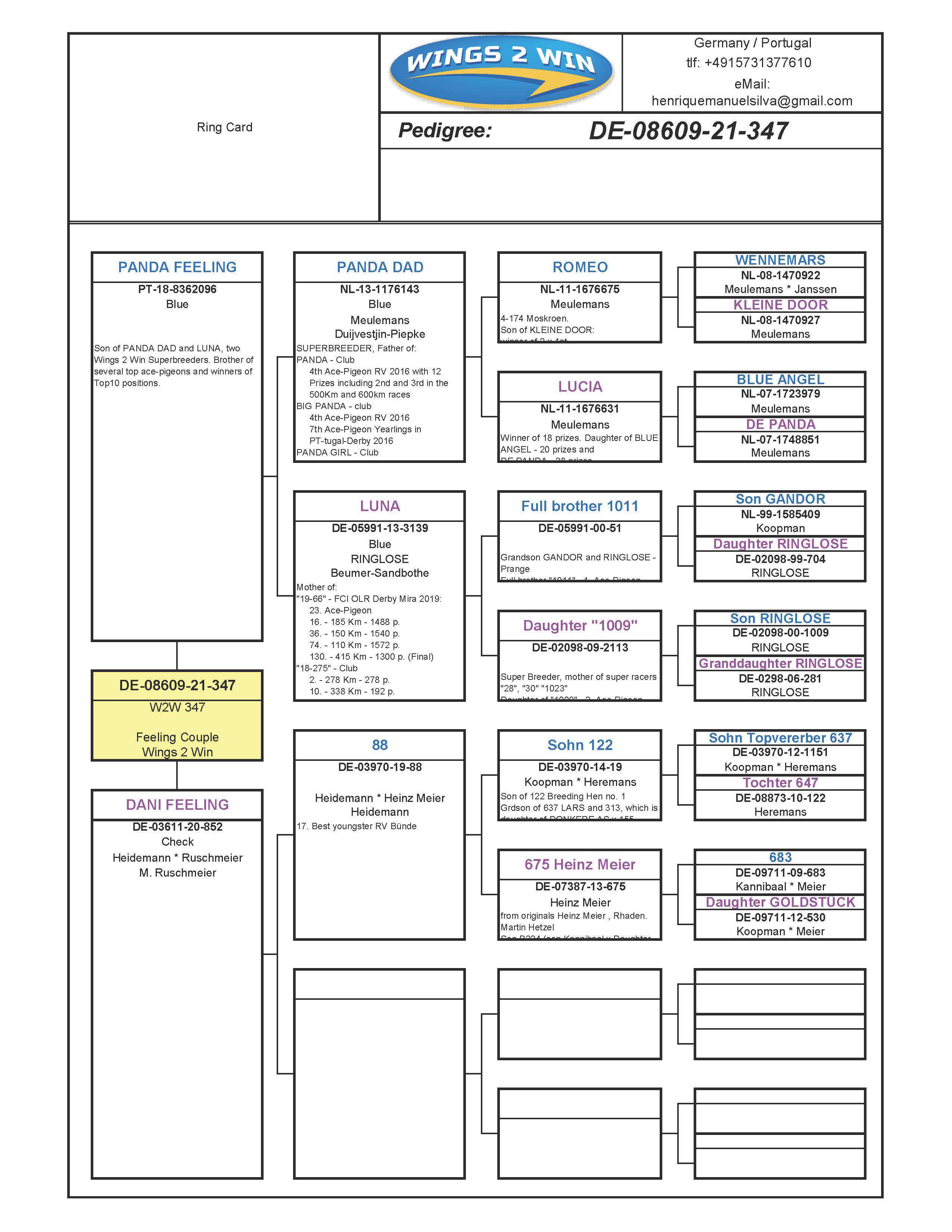 Pigeon pedigree image