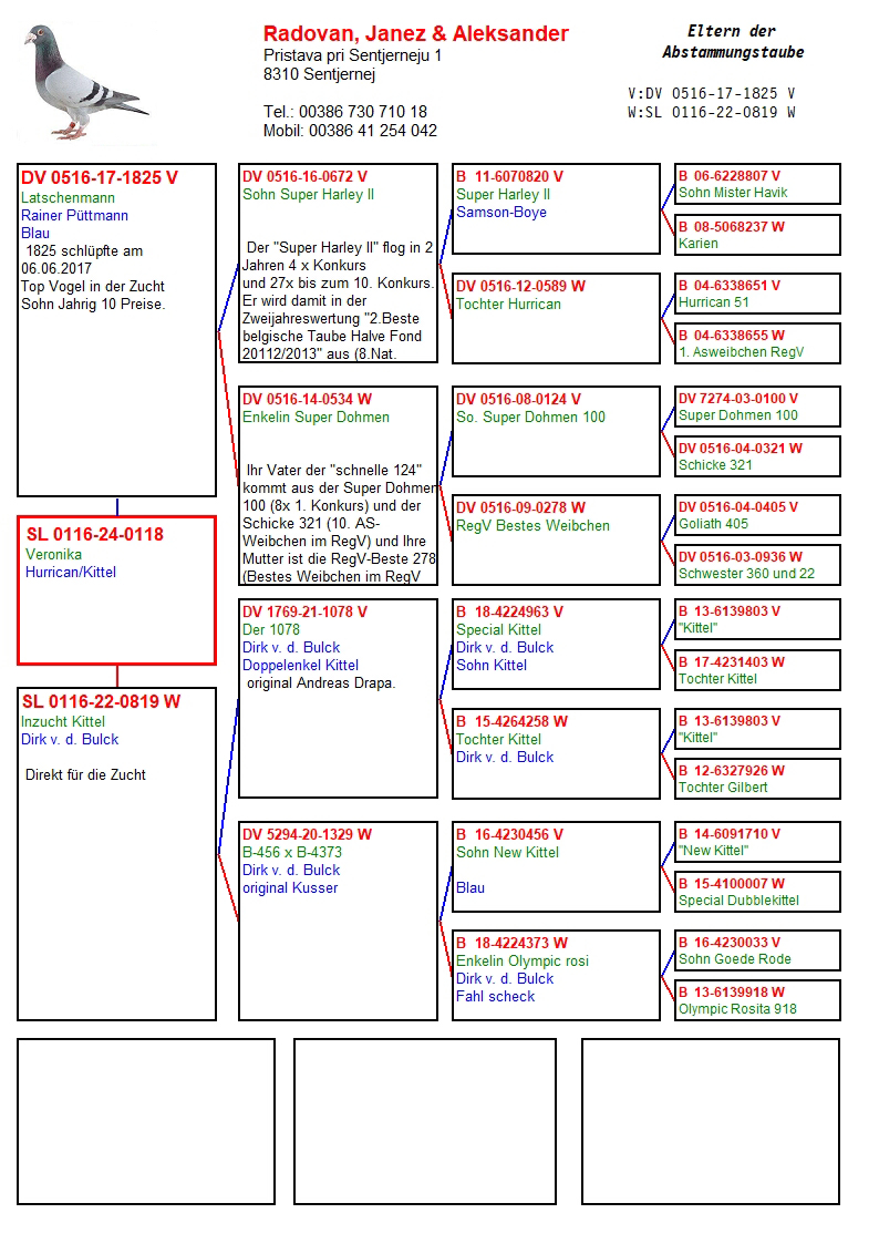 Pigeon pedigree image